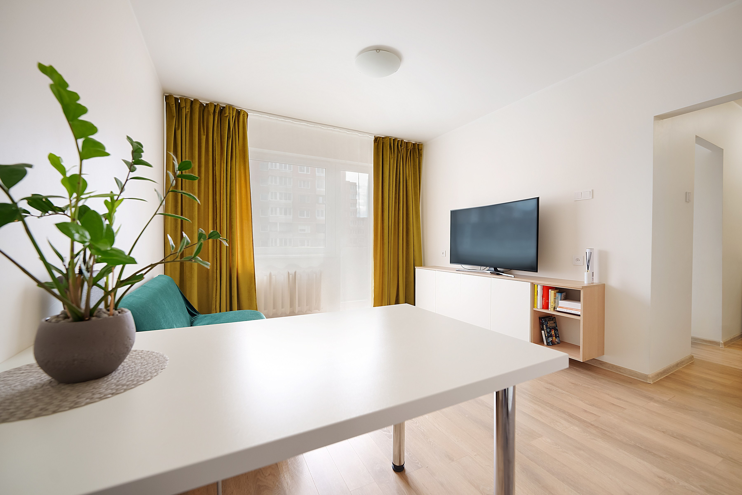 Stanevičiaus g. 64. Elina Sapiega fotografė Vilniuje