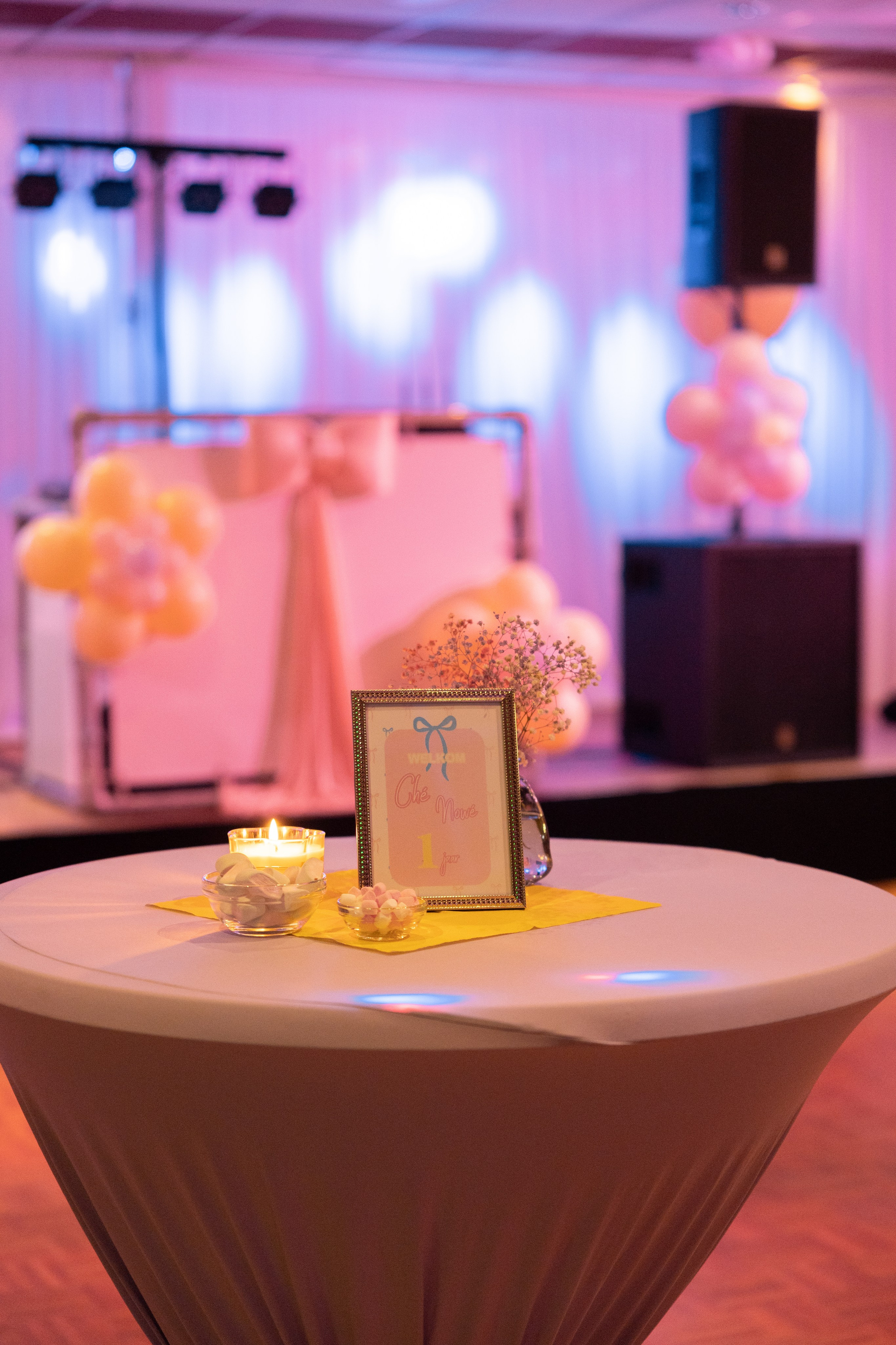 1 st Birthday. Portrait and Family Photographer in Netherlands