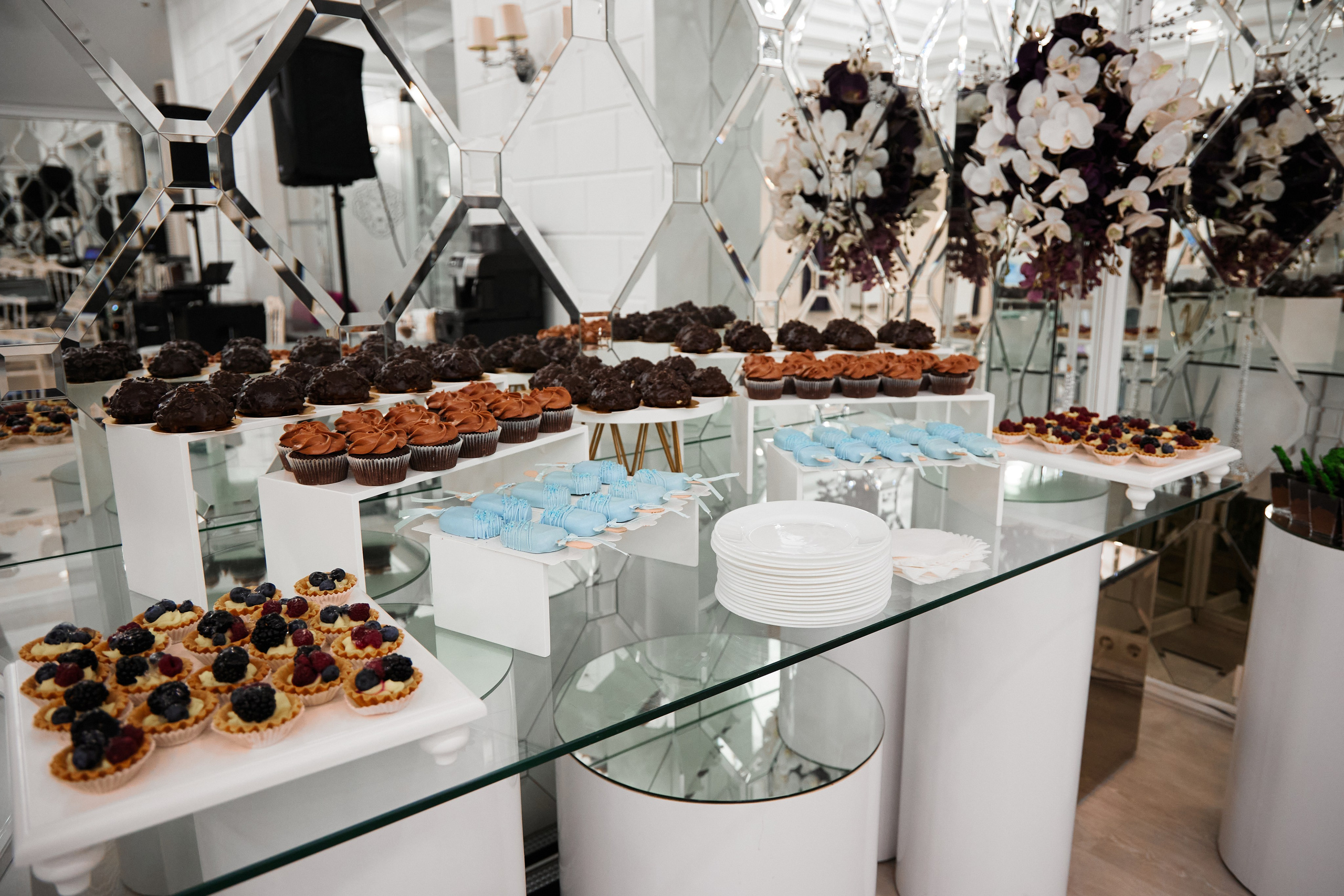 DENISA-LUCREȚIA | Oscar, Bălți 2024