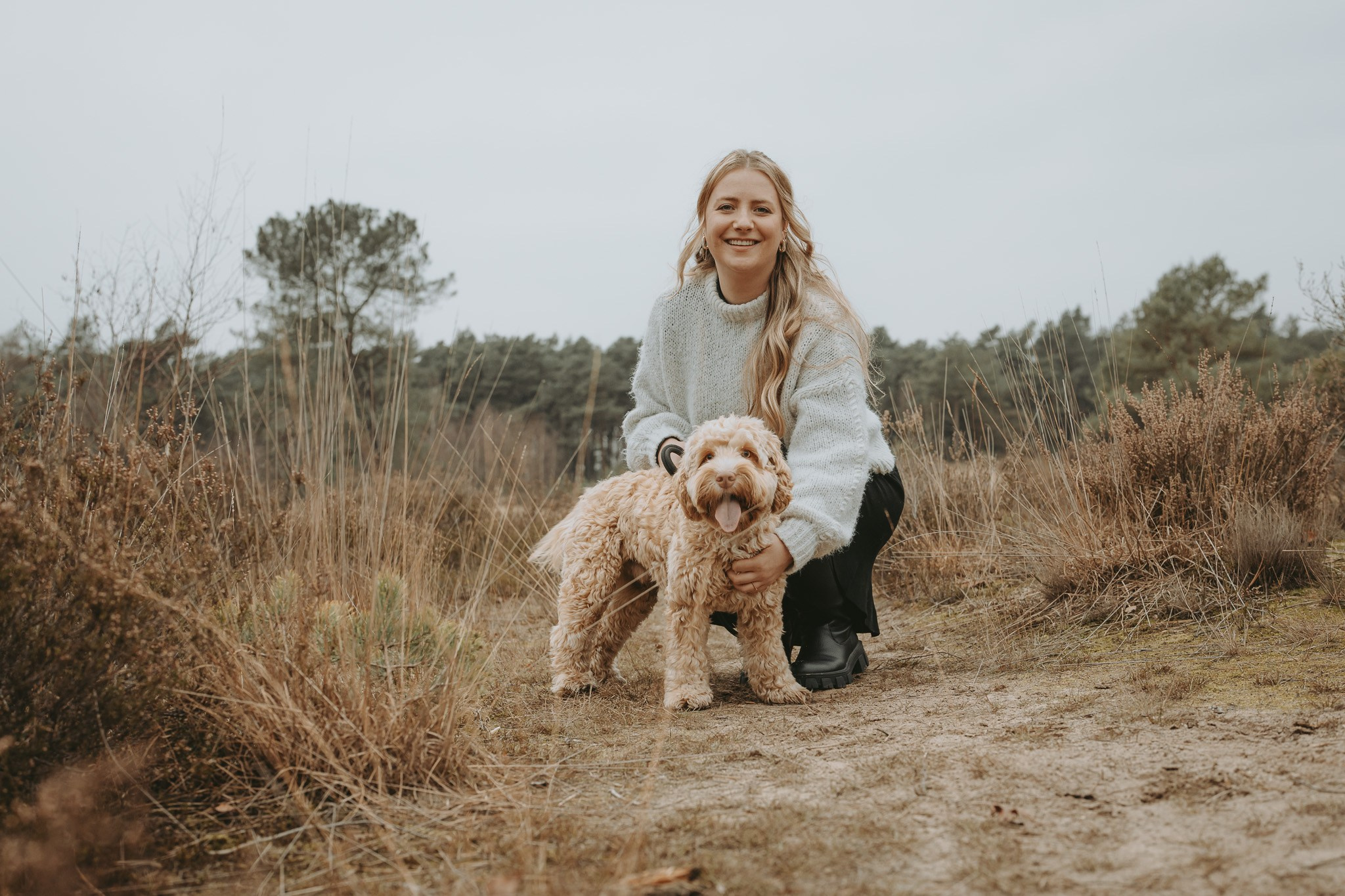 Liefdevolle koppelwandeling door de heide met hond Bowie - Kapture Fotografie
