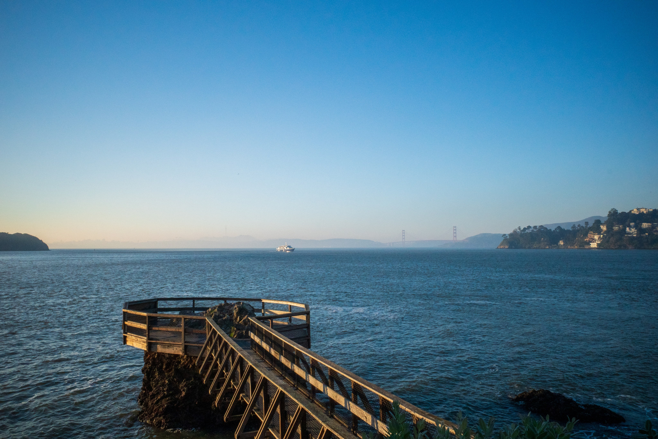 San Francisco. Aleks.photo | Book a photoshoot