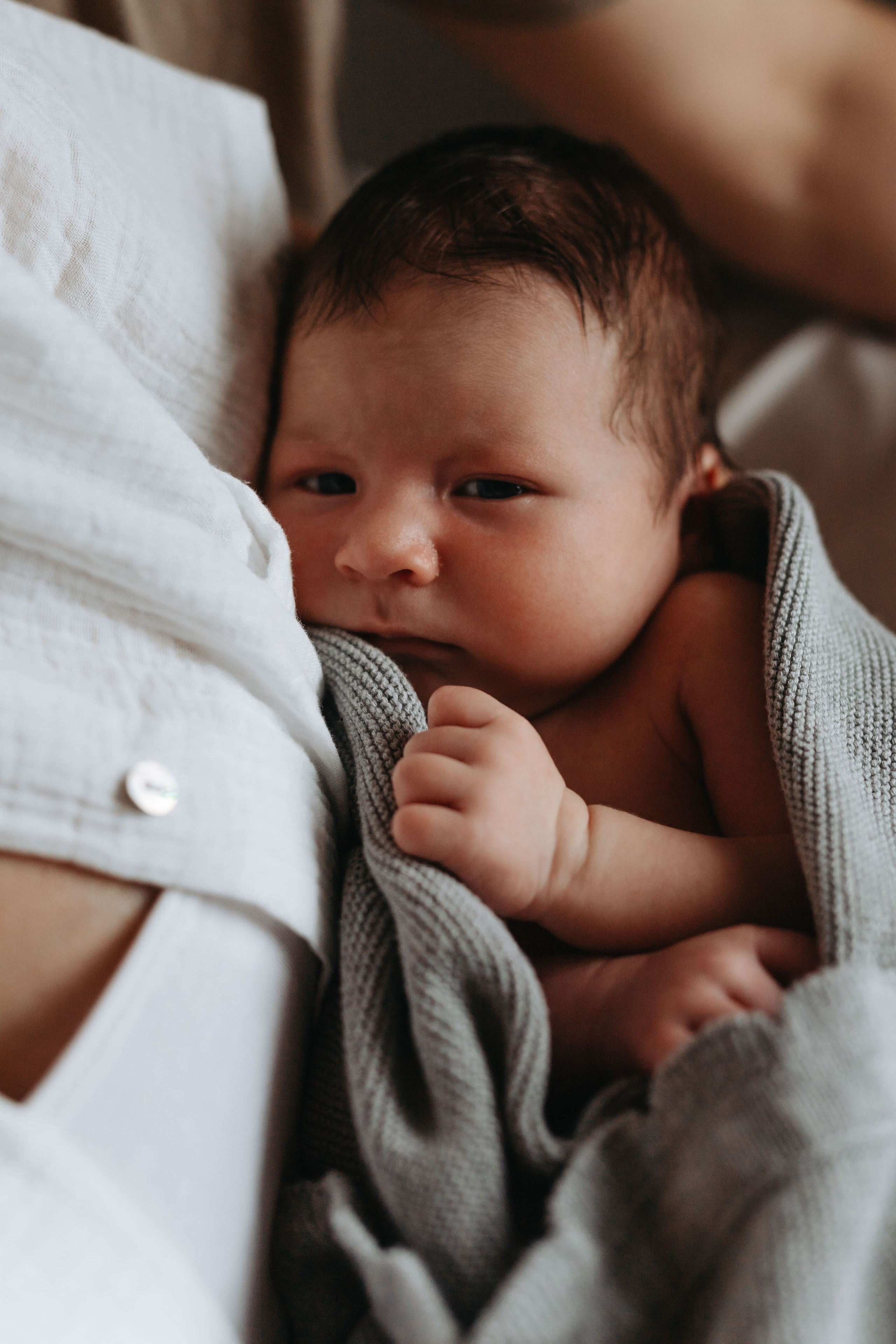 Pierwsza sesja Franka