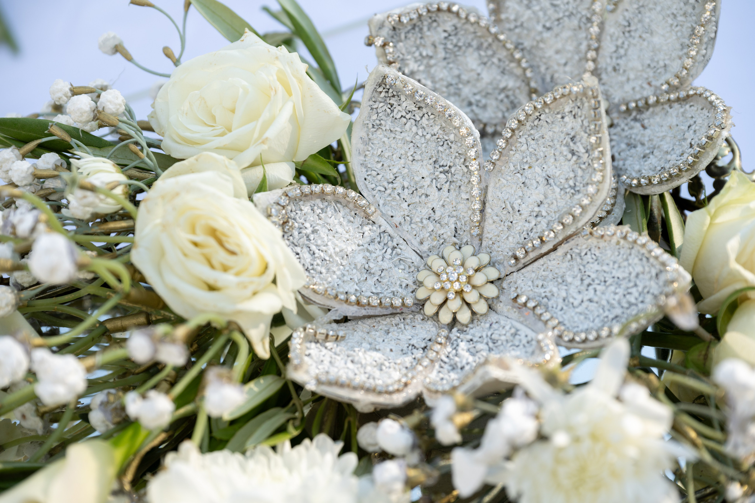 Mandana & Babak. Wedding Photo & Video