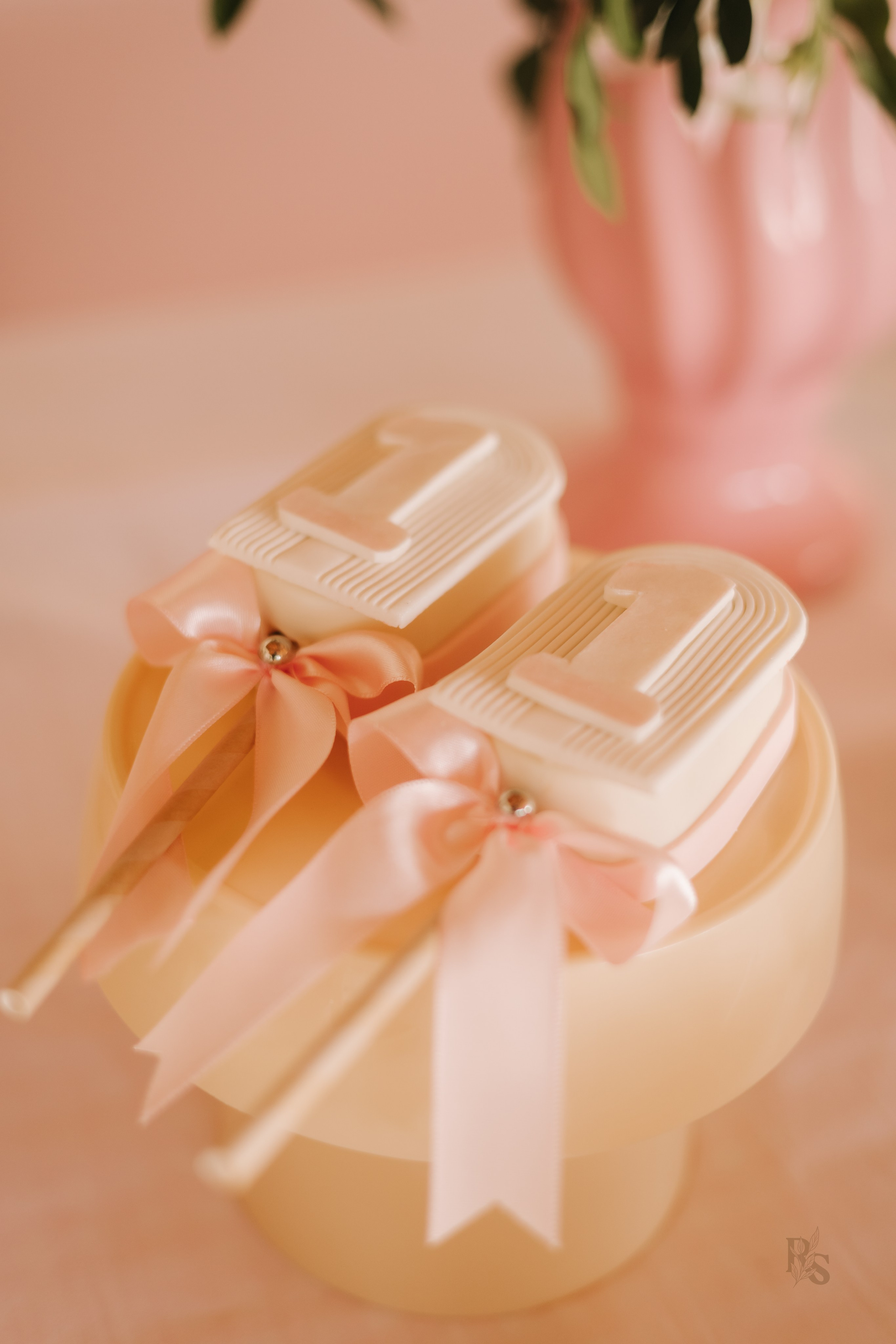 Aurora — 1 ano. Fotógrafo Richard Silvestre — Casamentos na Bahia