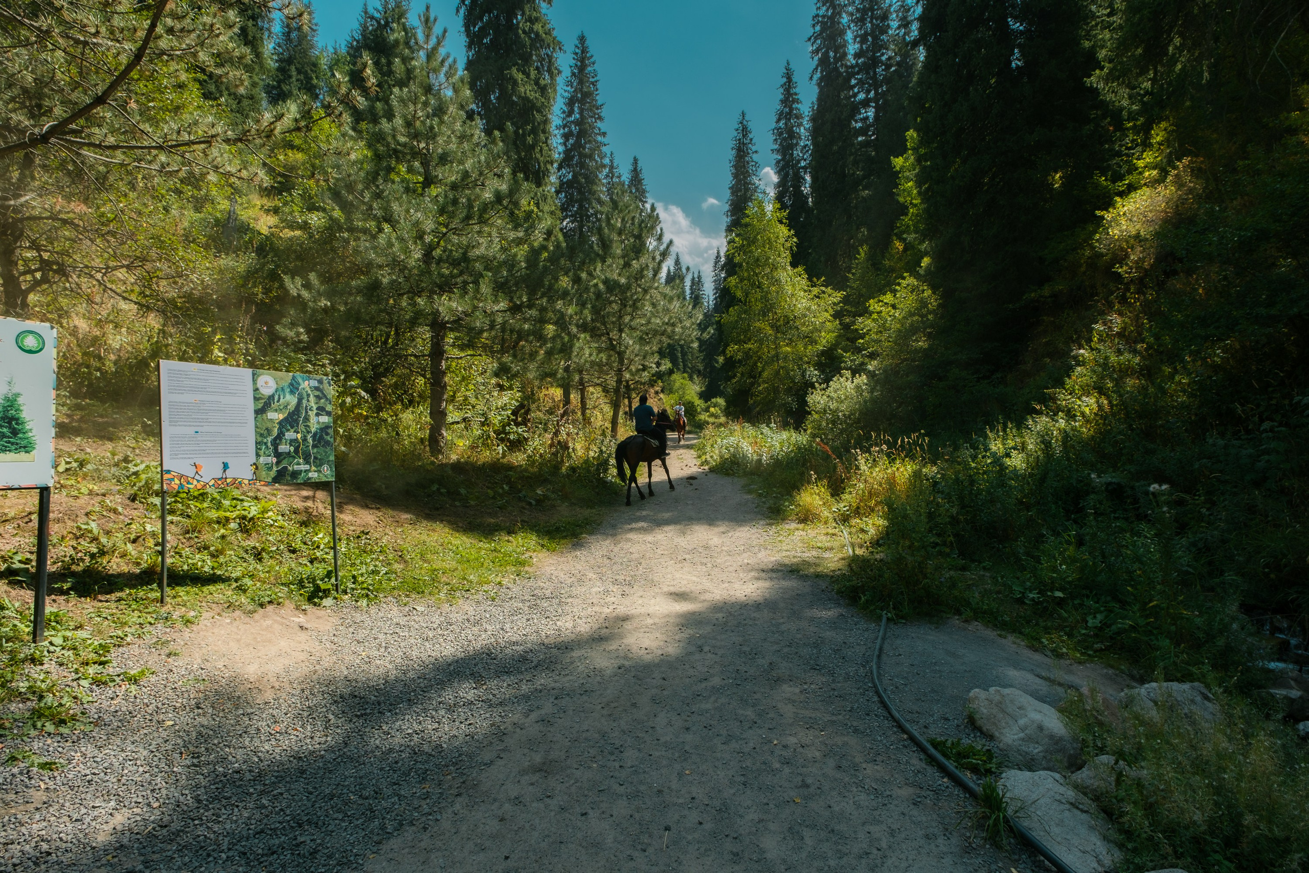 Sigma 12 mm F/1.4 DC DN Contemporary. Фотограф Григорий Кравец