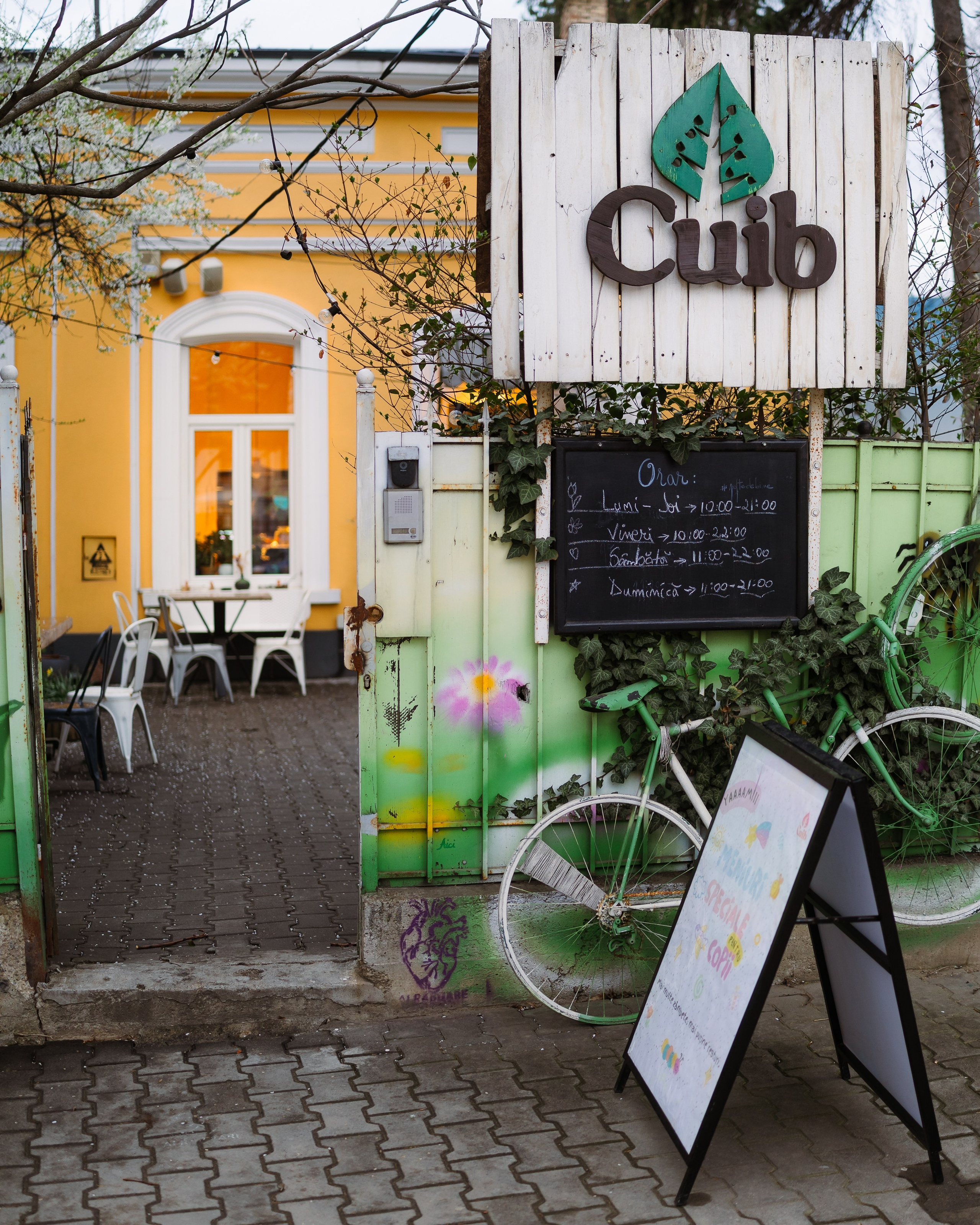 Indus at CUIB. Marius Ciocan