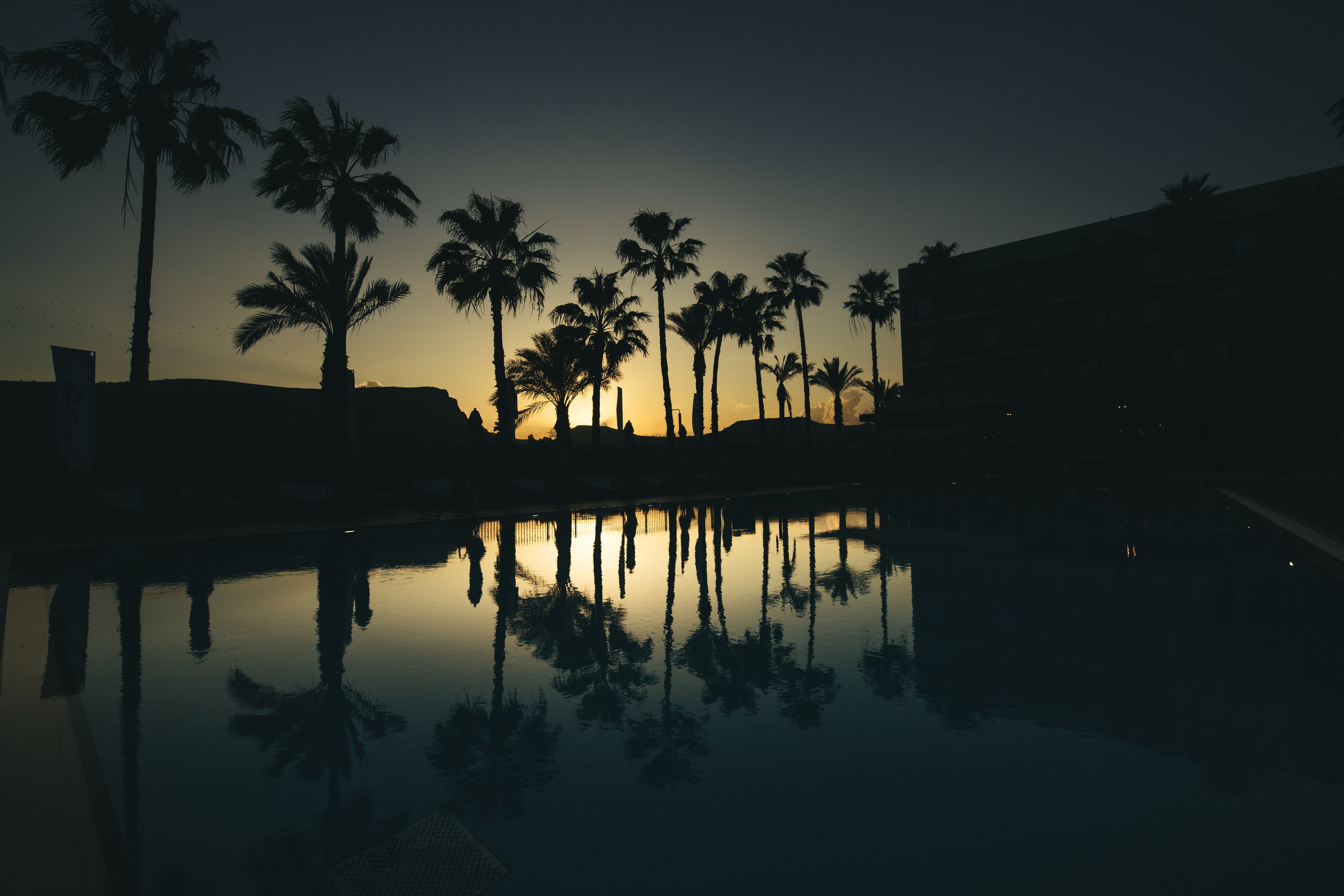 Pfizer. AMIR BUCHNIK PHOTOGRAPHER