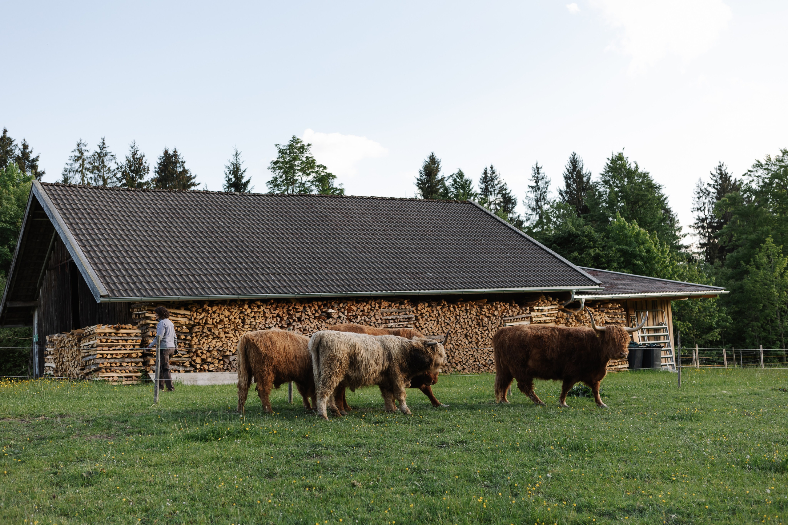 Reportage-Shooting. Fotografin Larysa Chepurko| Füssen| Garmisch-Partenkirchen| Weilheim| Schongau| Murnau| München | Hochzeitsfotograf Füssen | Larysa Photo