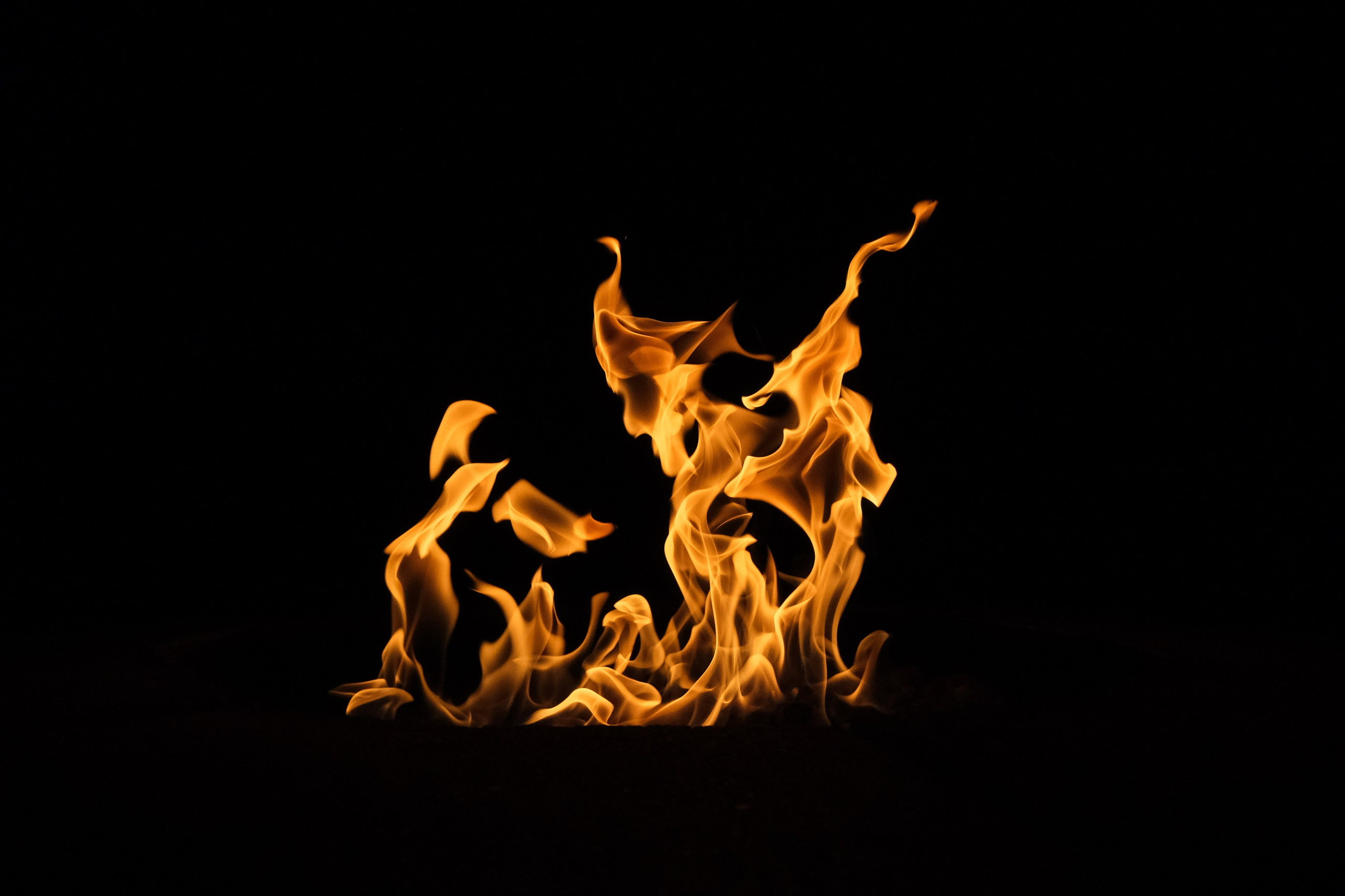 VATRA. Reportage concert portrait photography in the San Francisco Bay Area