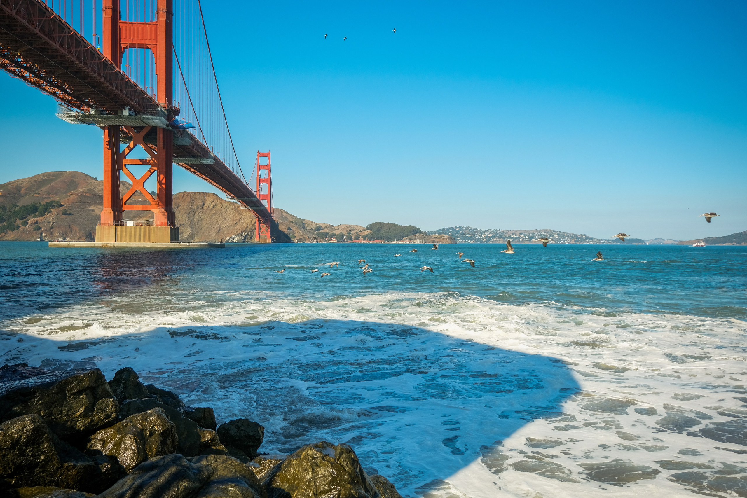 SAN FRANCISCO. Reportage concert portrait photography in the San Francisco Bay Area