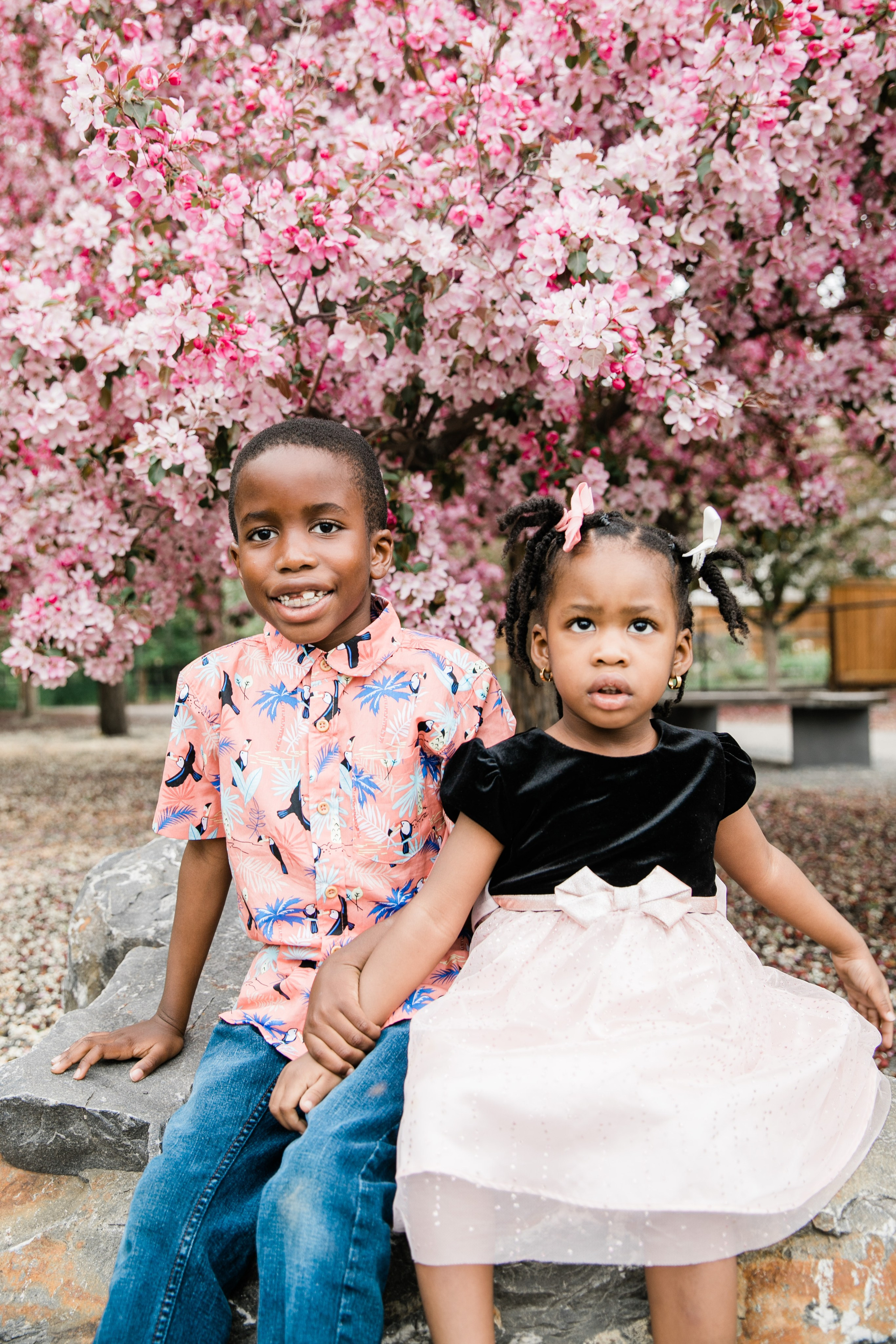 Ester — Cherry Blossom Family Photos. Fotografía accesible en Calgary