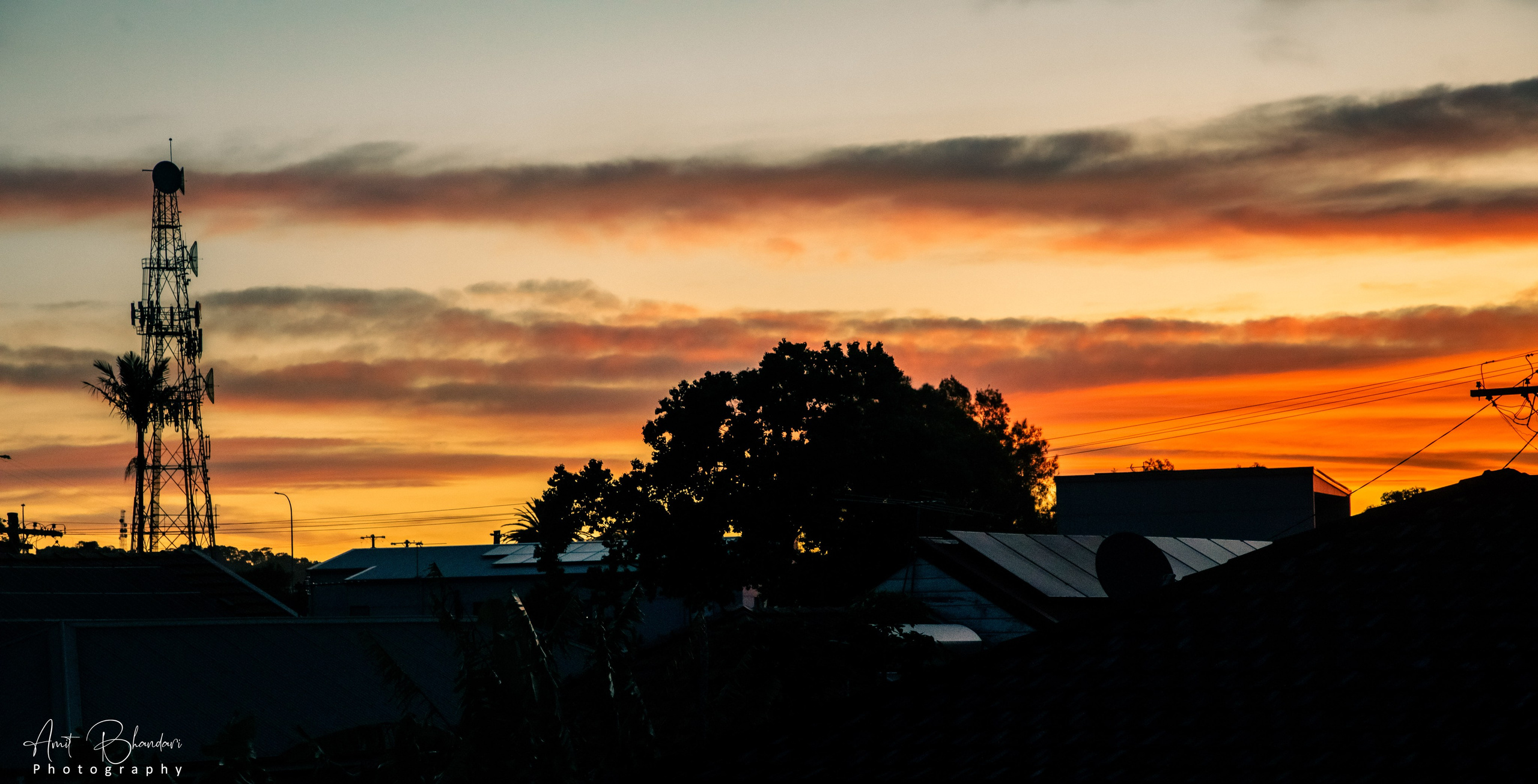 Nature. Freelance Photographer in Newcastle & Central Coast