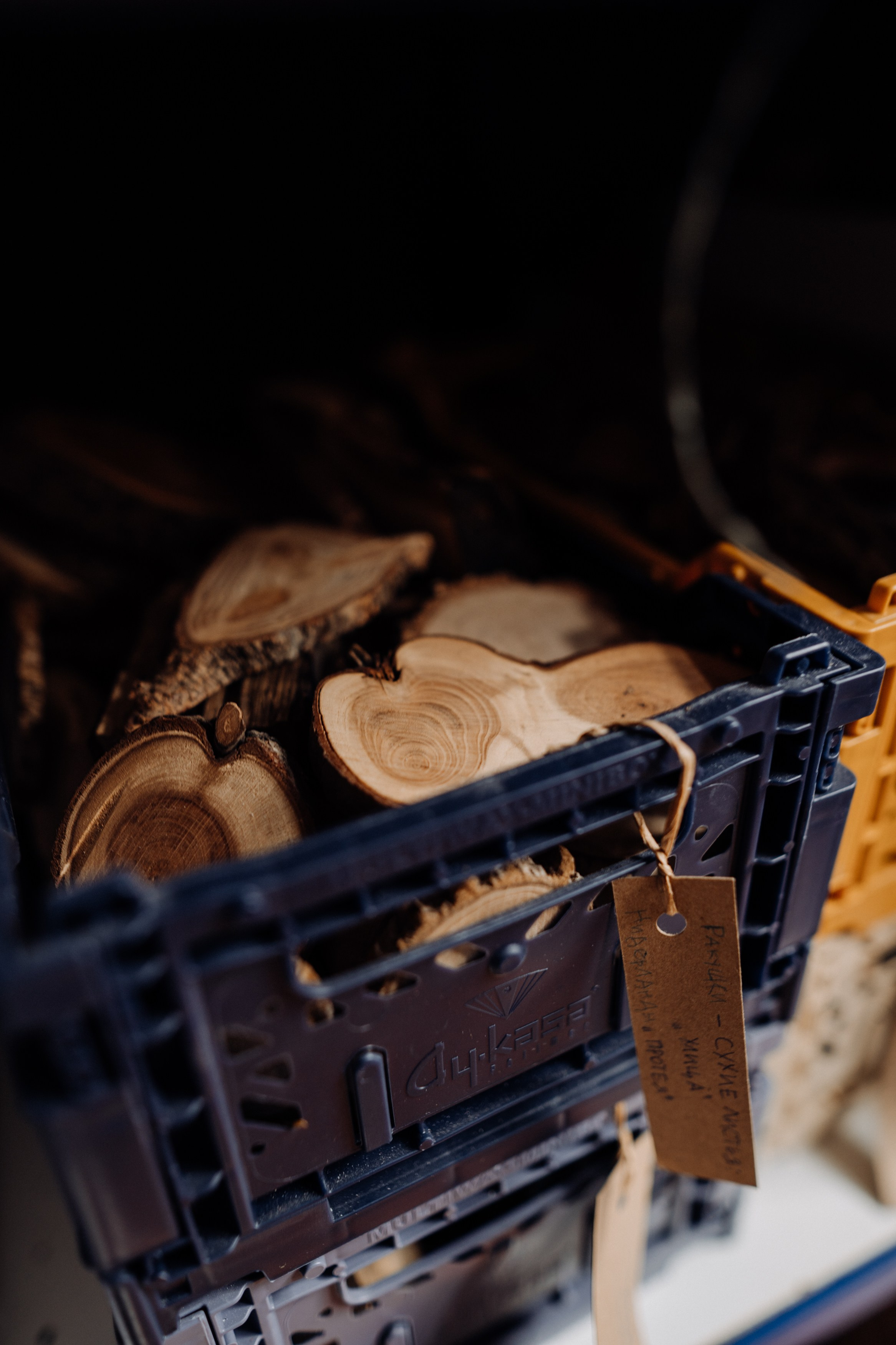 Elena. Фотограф в Праге Анна Лебедева