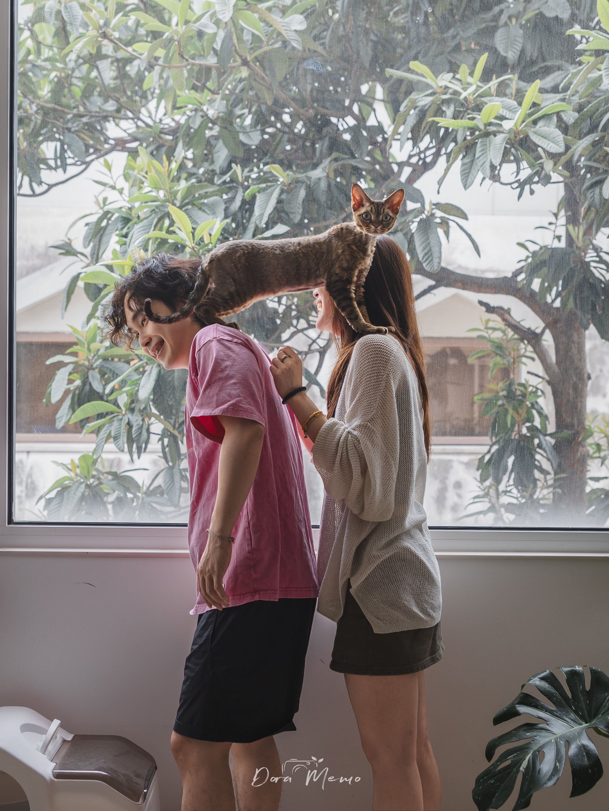 Shanghai Pet Family Photography | A Warm At-Home Session with Two Cats
