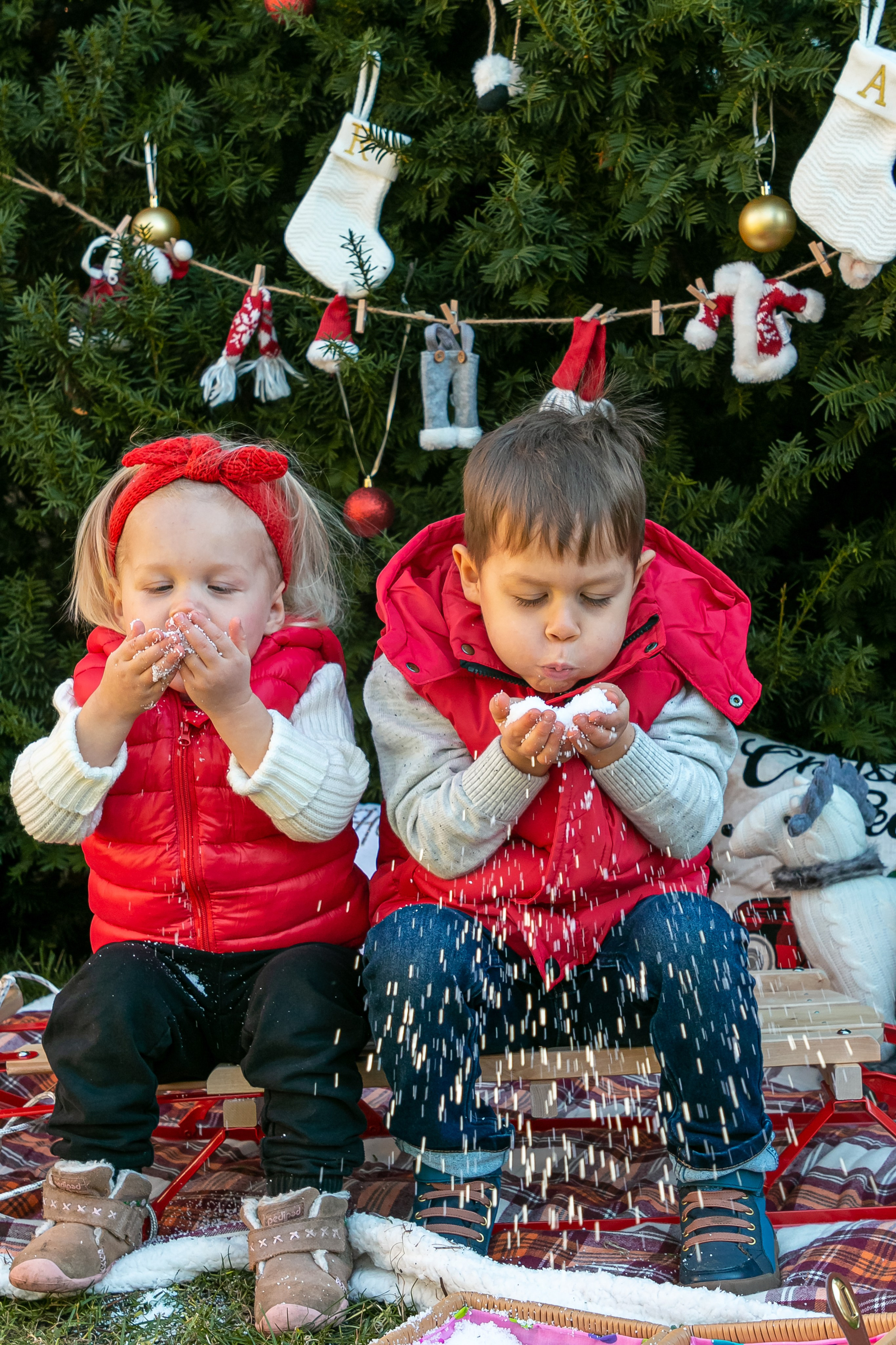 Family Stories. Elina Ava — Family and Portrait Photographer in NW Suburbs of Chicago