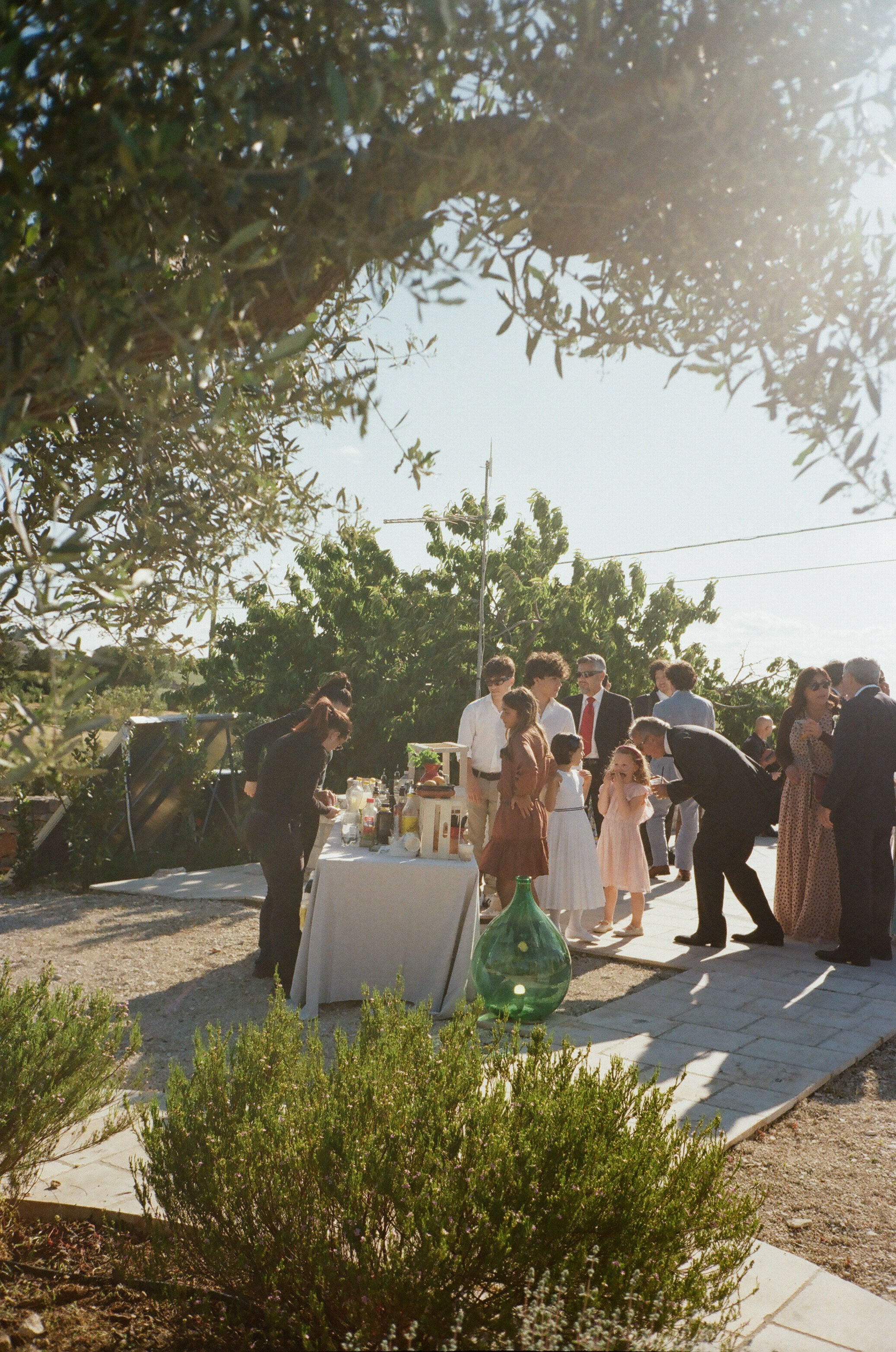 Stephanie & Christian film photos. Весільний фотограф Вікторія Саврук