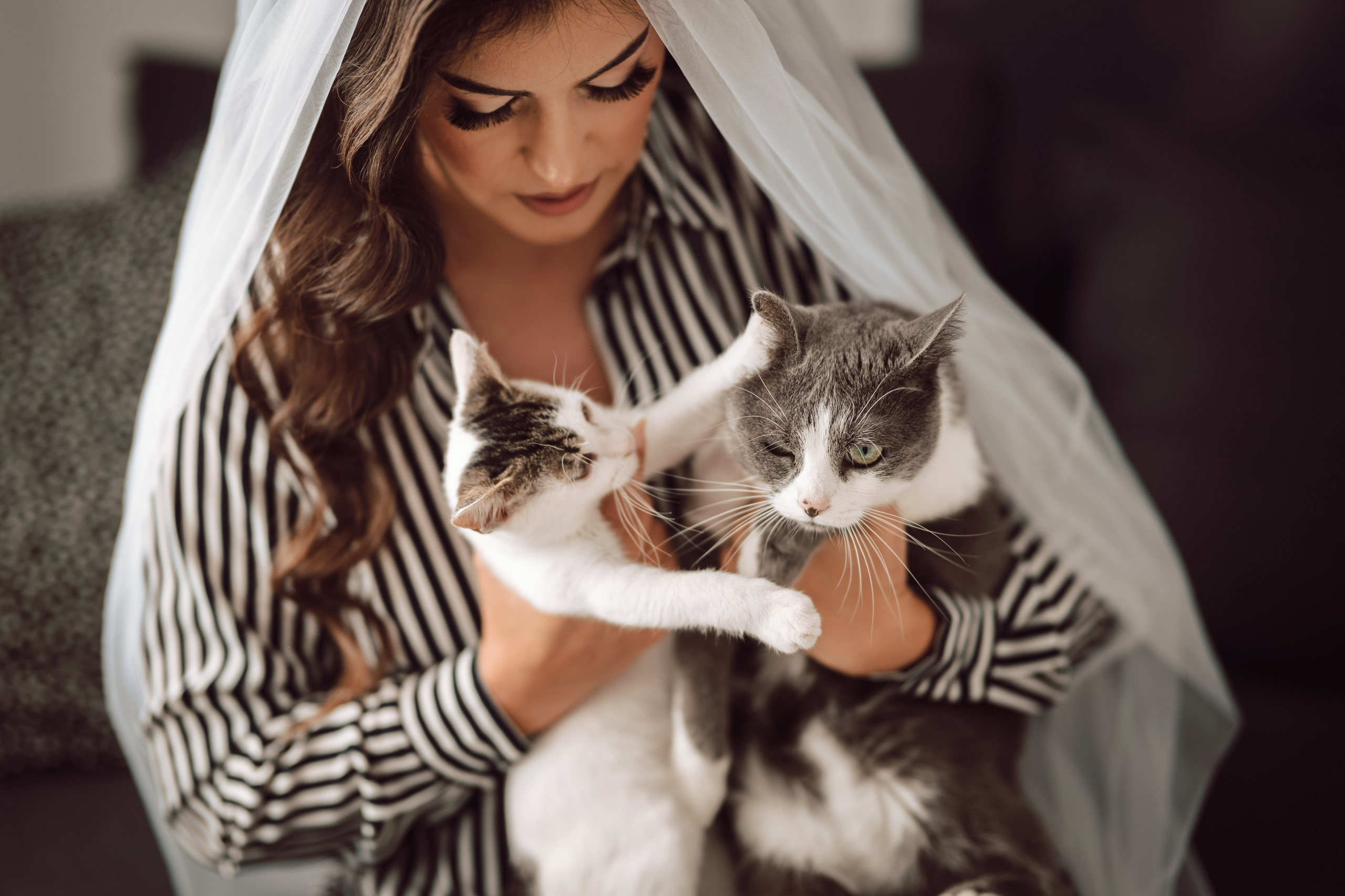 Gabriela & Marian. The Catalins Events — Wedding Photography & Videography