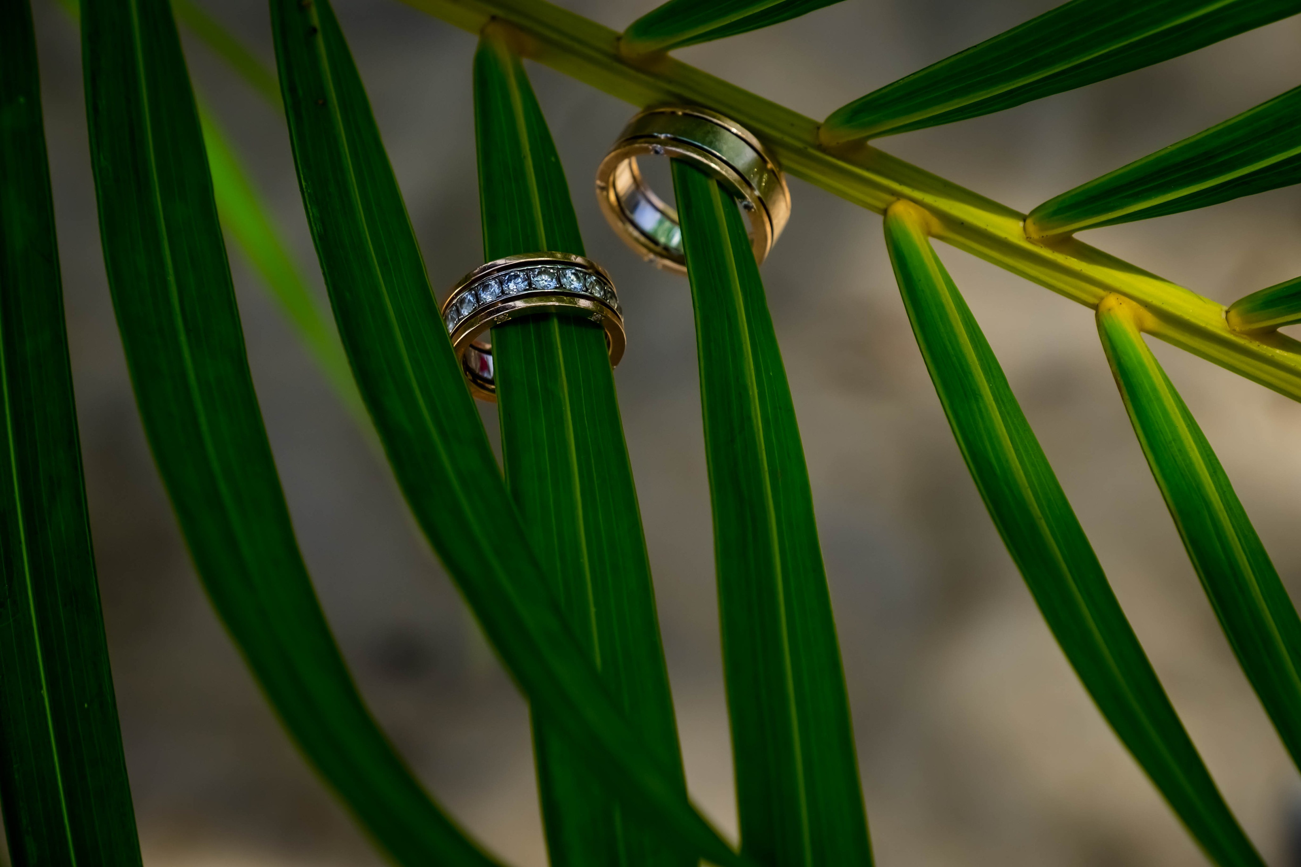 Family and wedding photographer in Puerto Plata. Photographer in Puerto Plata and Santo Domingo, Dominican Republic