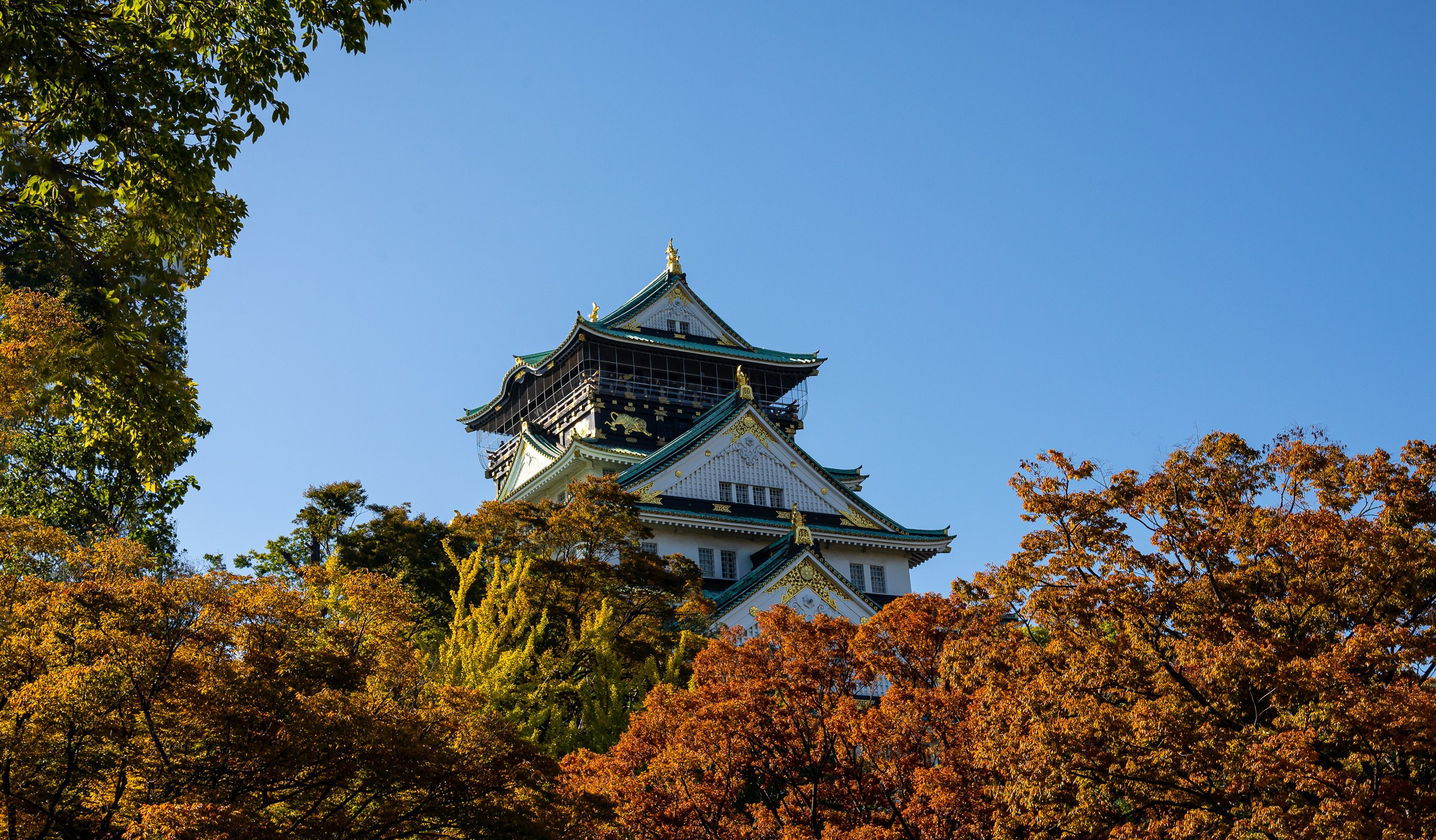 Japan. Marius Ciocan