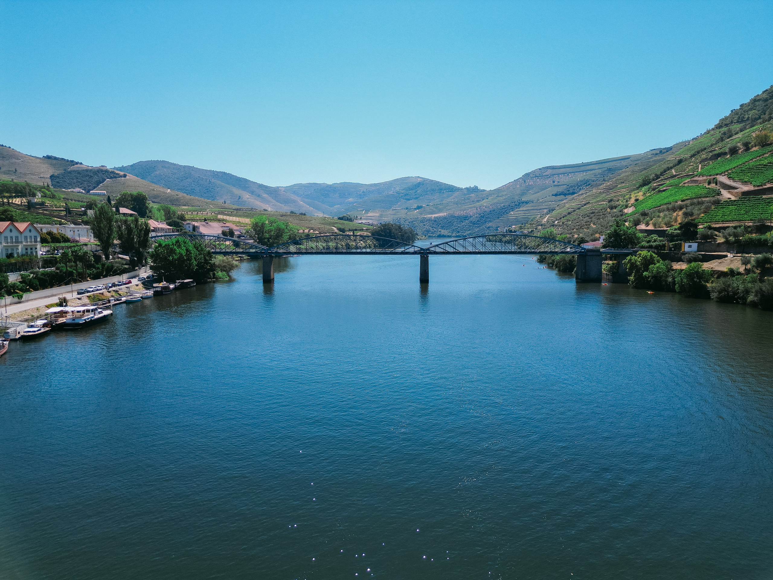 Wedding Proposal at Douro Valley — Arthur & Ana. Wedding & destination wedding photographer in Porto, Portugal — Davi Valente | Lisbon, Douro Valley, Rome, Tuscany & Lake Como