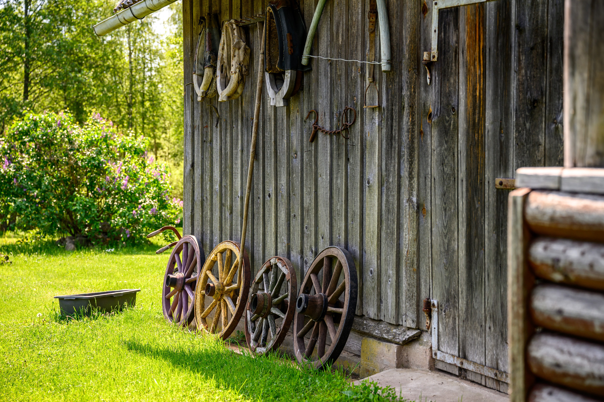 Amatnieki. Ritvars Pujats Emotion Photographer