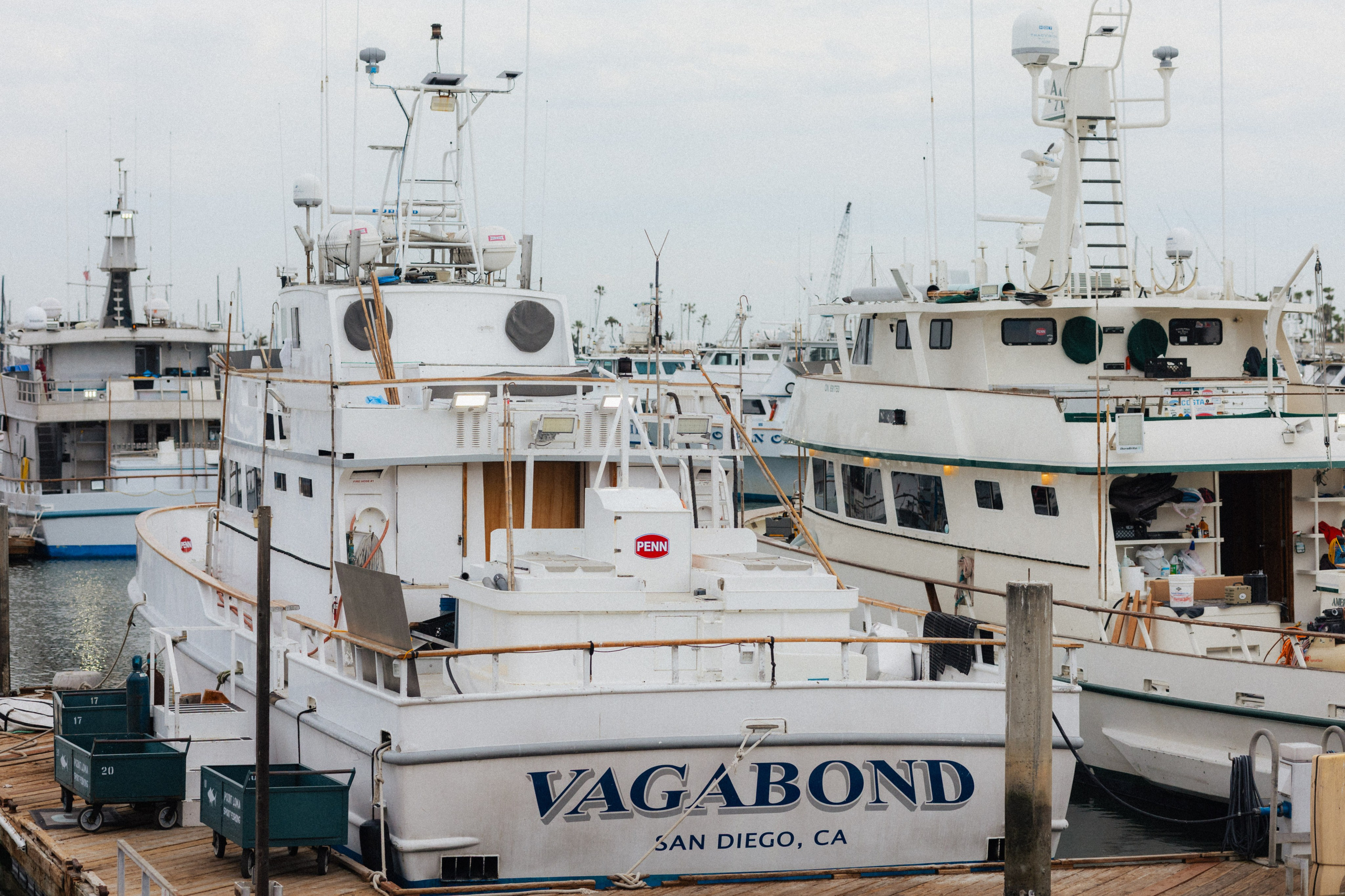 Los Angeles. Aleks.photo | Book a photoshoot