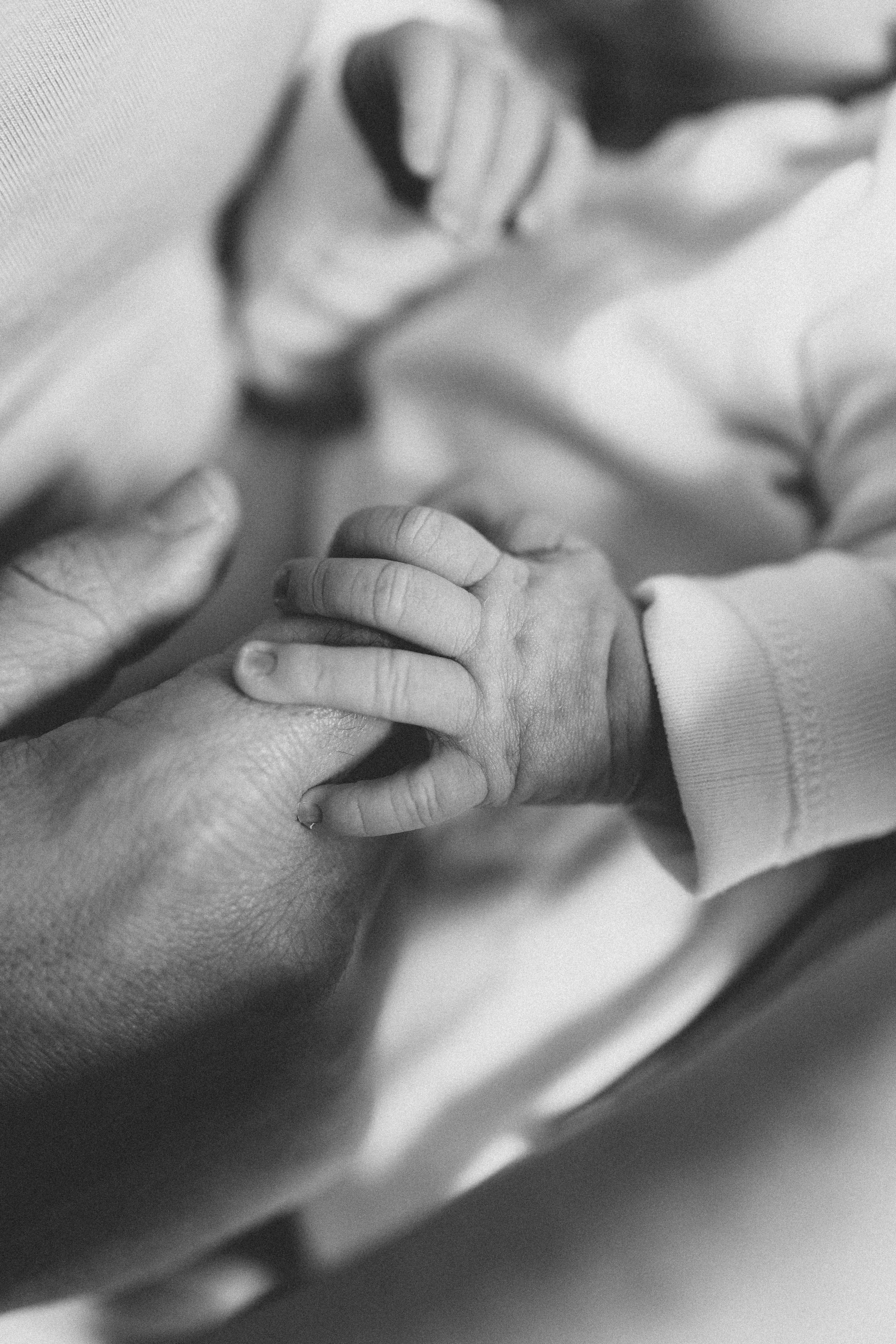 Shayne, Alon, Yanay and Kedem