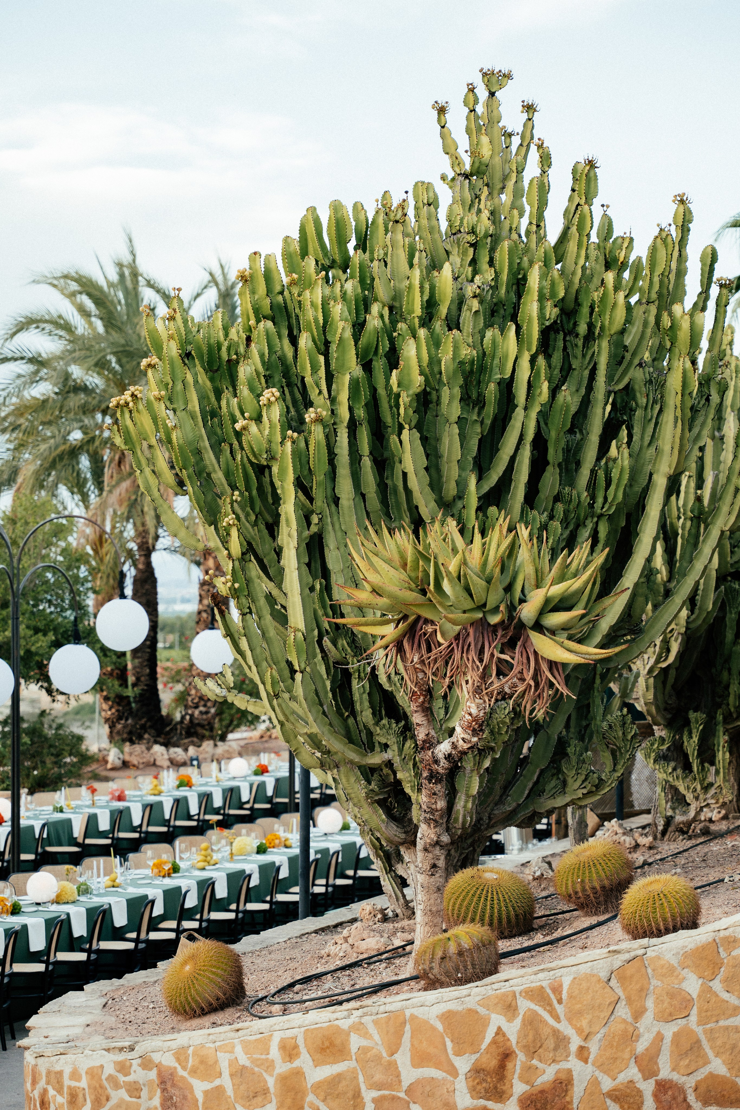 Gonzalo & Maria (Murcia)