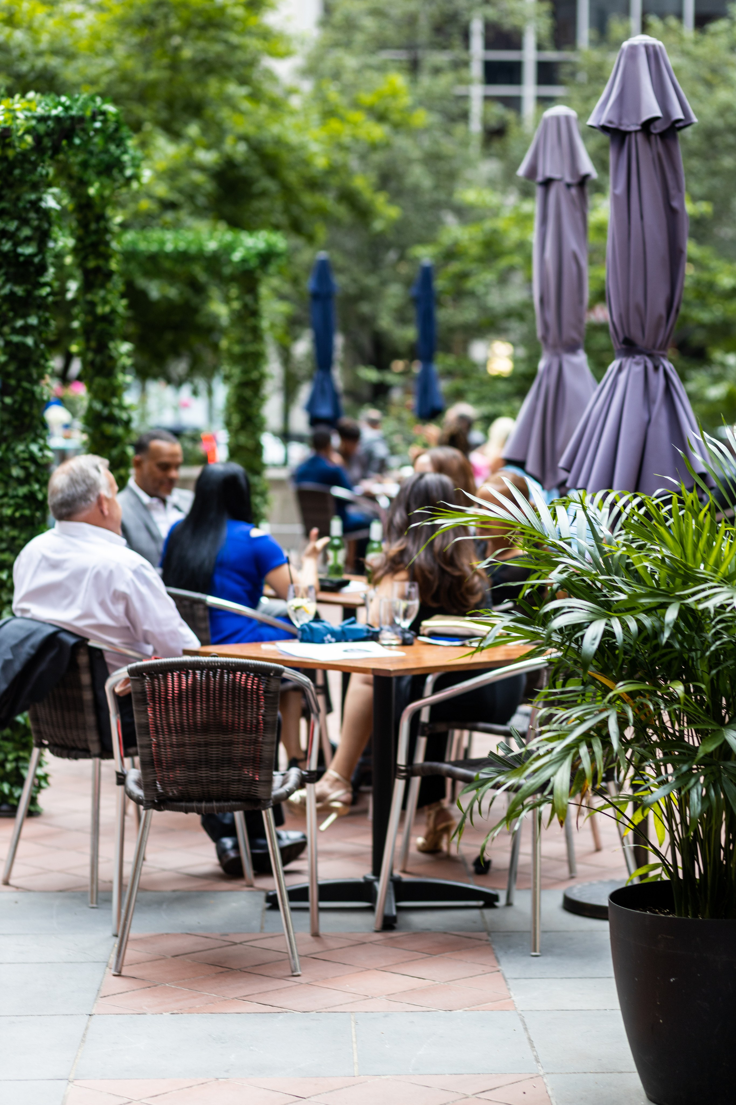 Marlene and Michael. Luxury Wedding Photography and Cinematography