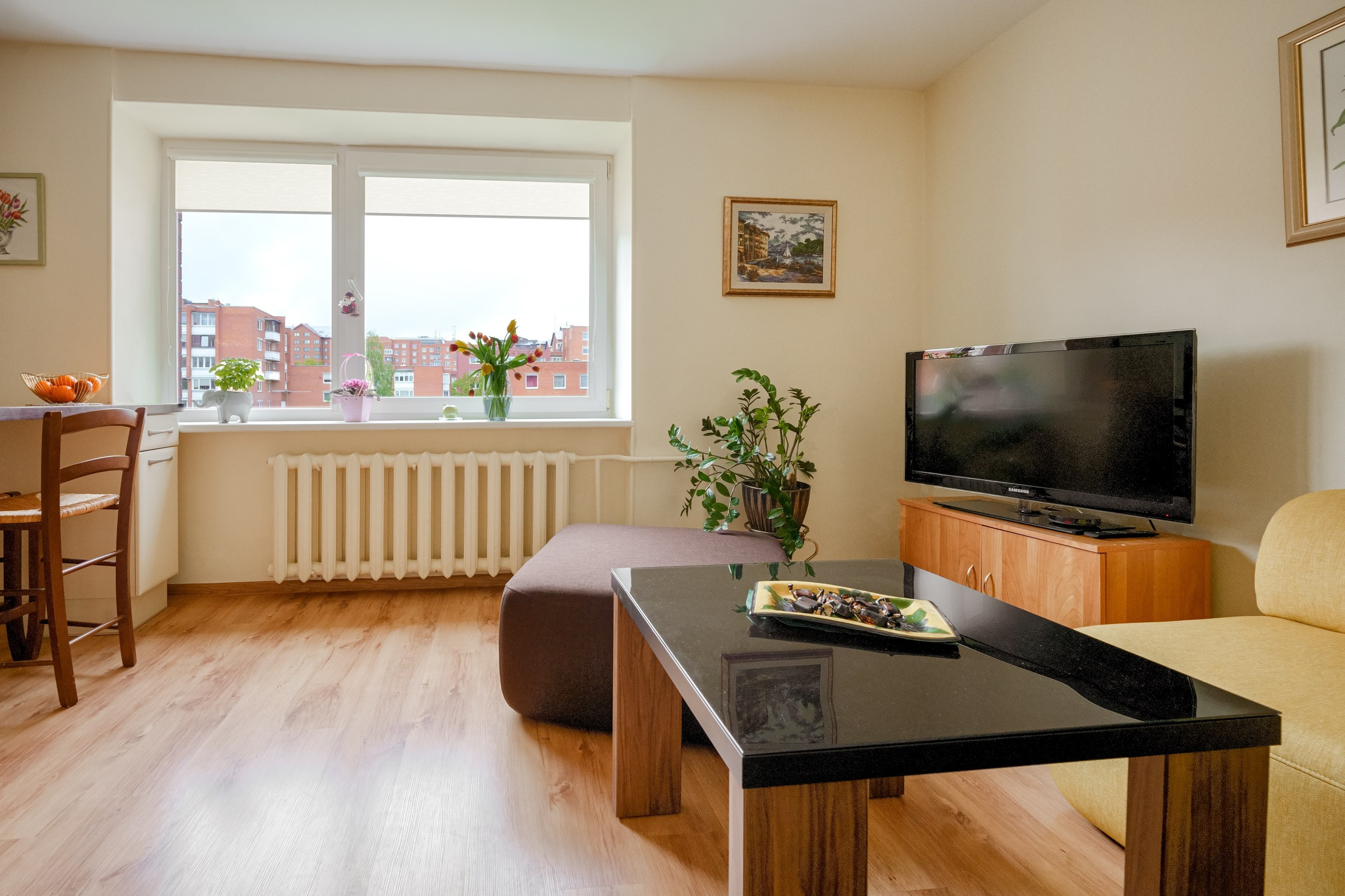 Ateities g. 1. Elina Sapiega fotografė Vilniuje