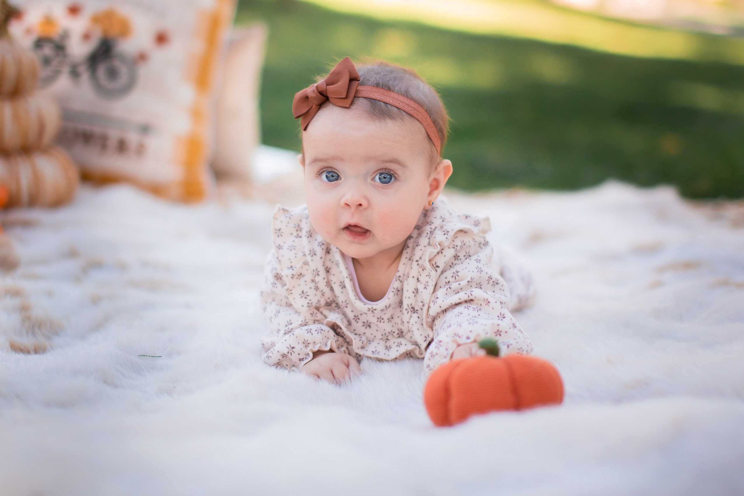 Fall'23. Wedding & elopement photographer Viktoriya Kravtsov. Las Vegas