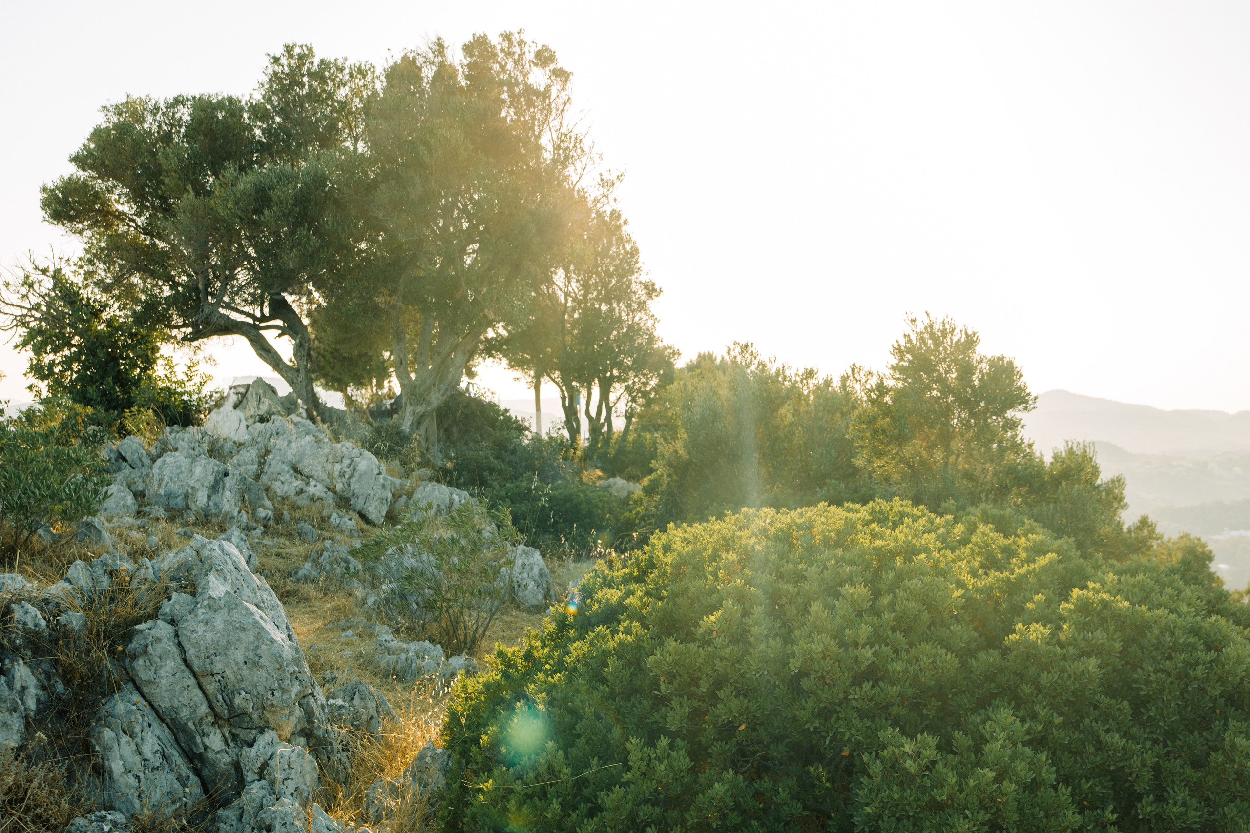 Alina and Joshua. Renate Woeste | Wedding planner in Rhodes. Creating dream weddings by the sea. Let’s make your special day unforgettable