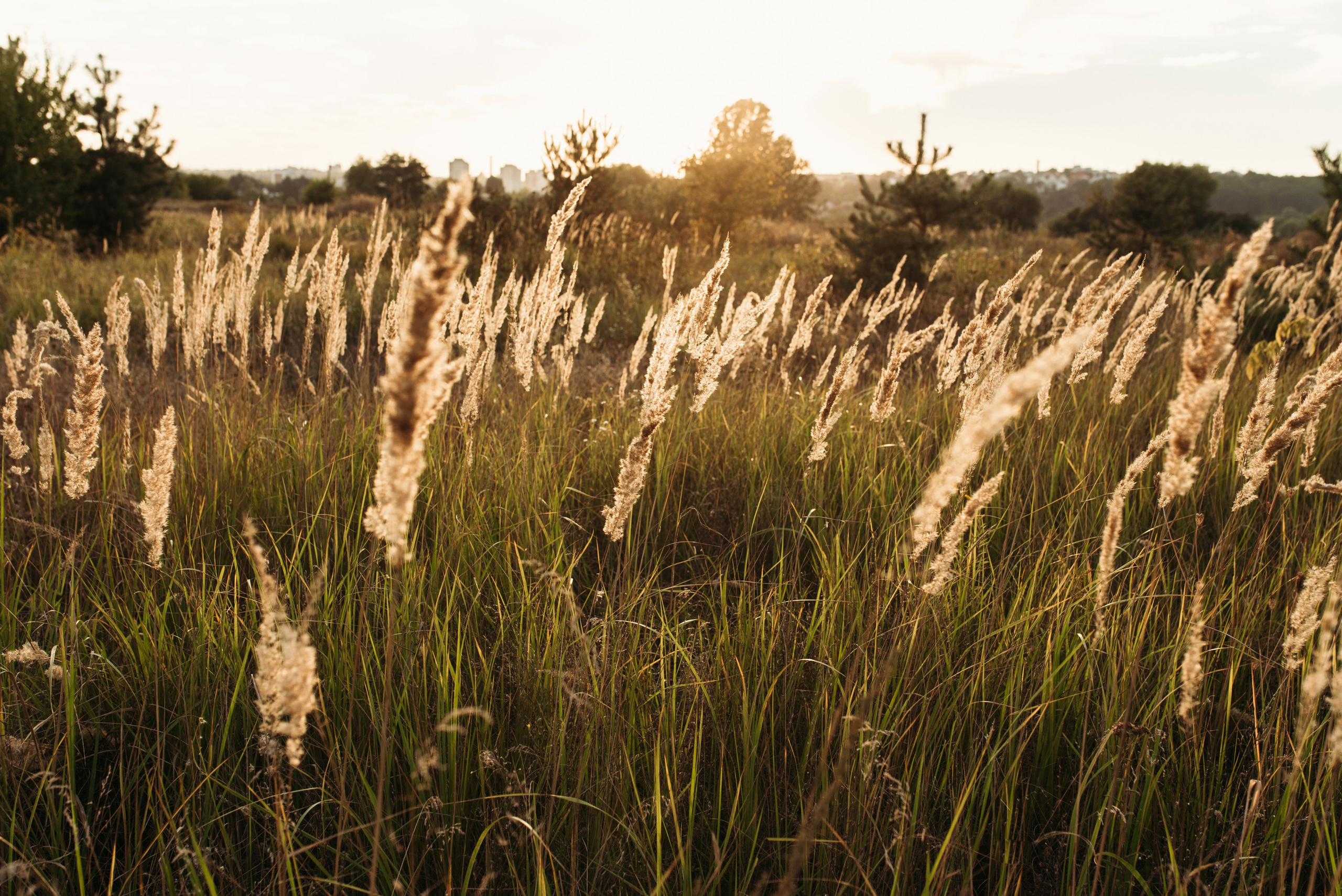 Marina & Artem & Timur. Familien- und Hochzeitsfotografin. Ich arbeite in Koblenz und Rheinlan