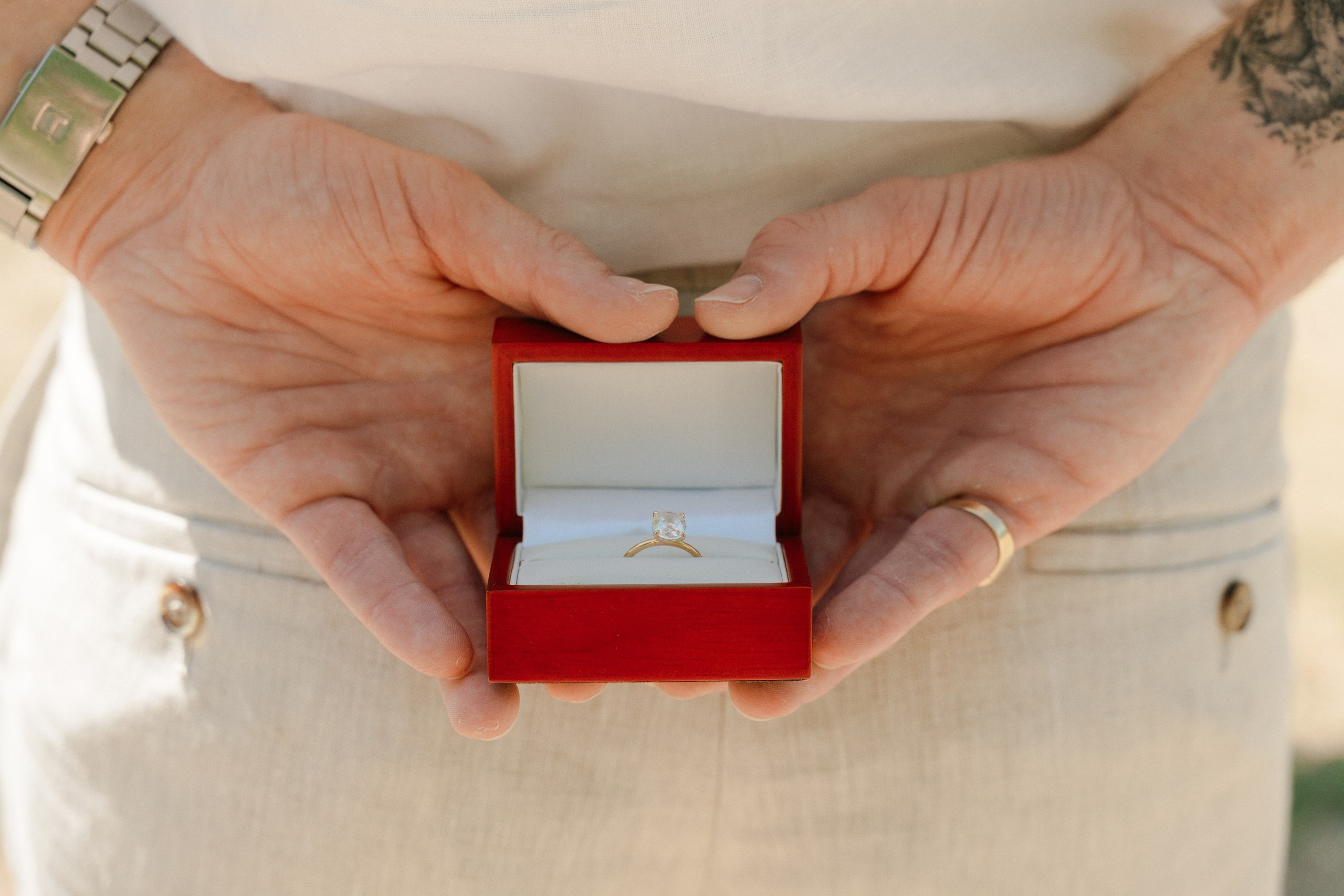 O & L (Verona, Italy). Marriage Proposal Photographer in Verona, Lake Garda and Dolomites| Diana Fedrigo