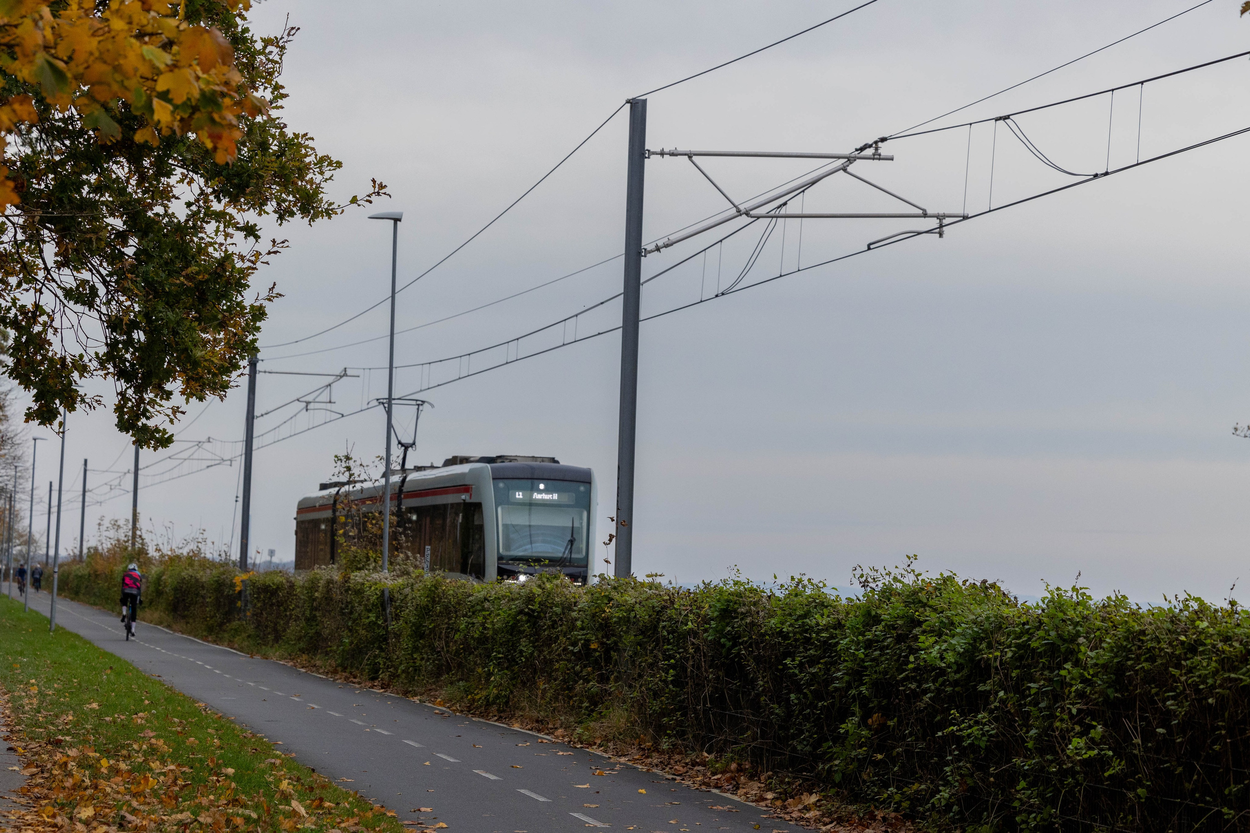 Efterår. Fotograf Aarhus | Portrætfoto Århus | Flotte billeder