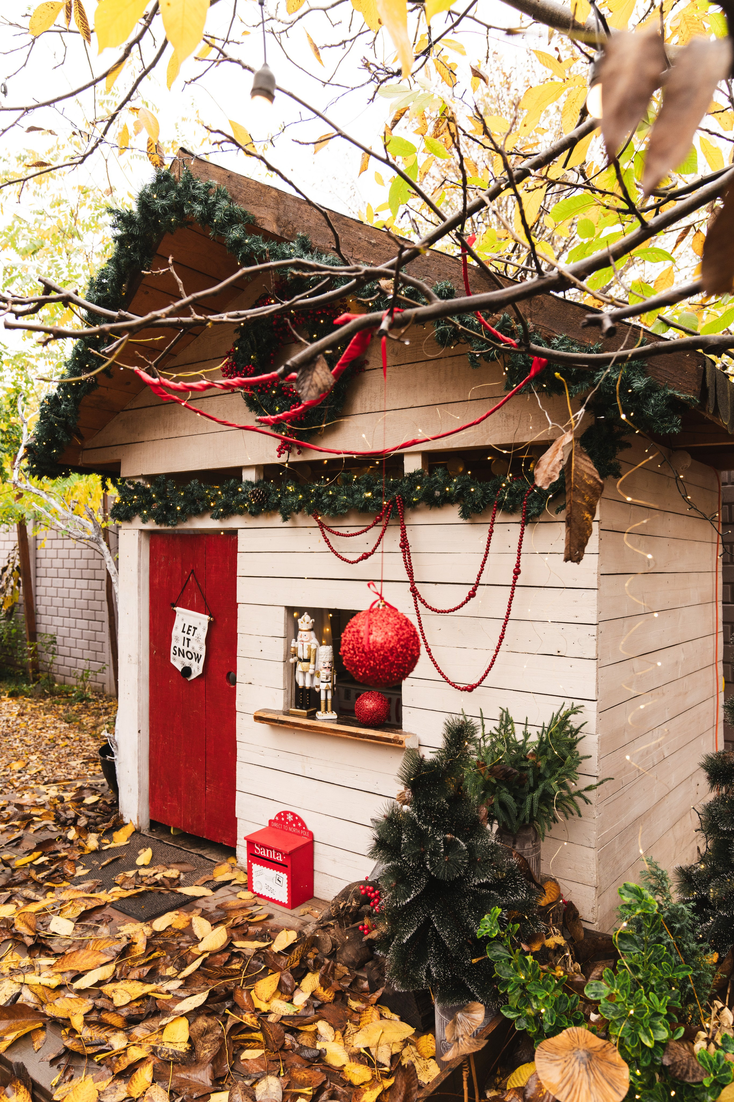 Studio Colentina. Fotograf evenimente. Fotograf nunta. Fotograf Botez. Mihaela Savu