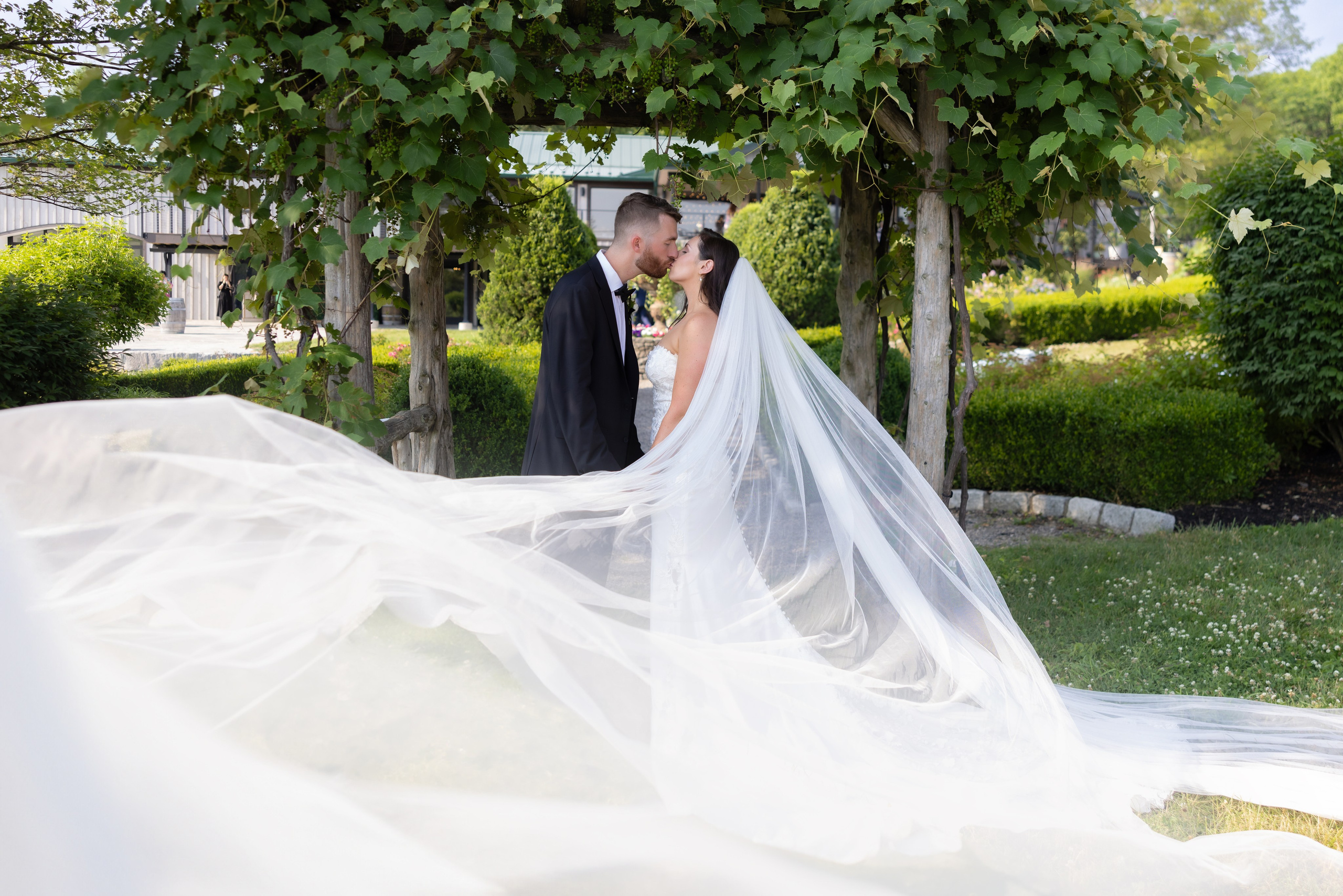 Angelica & Conor. Wedding Photo & Video