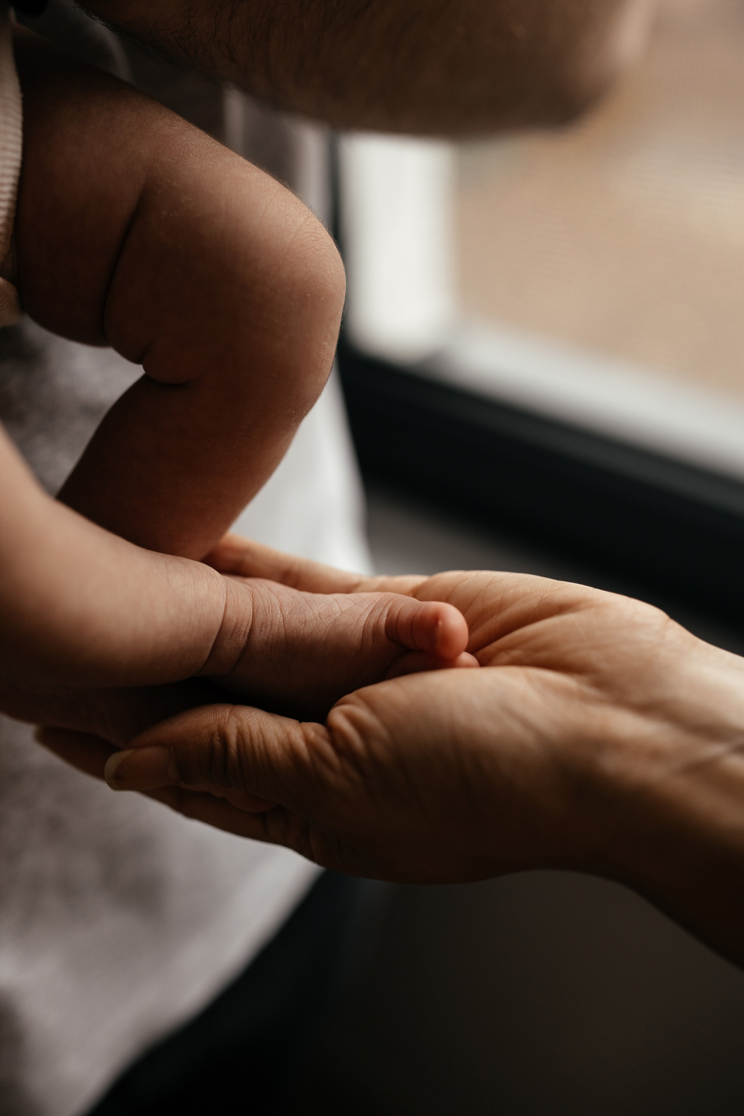 Newborn (Homestory). Wedding Photographer