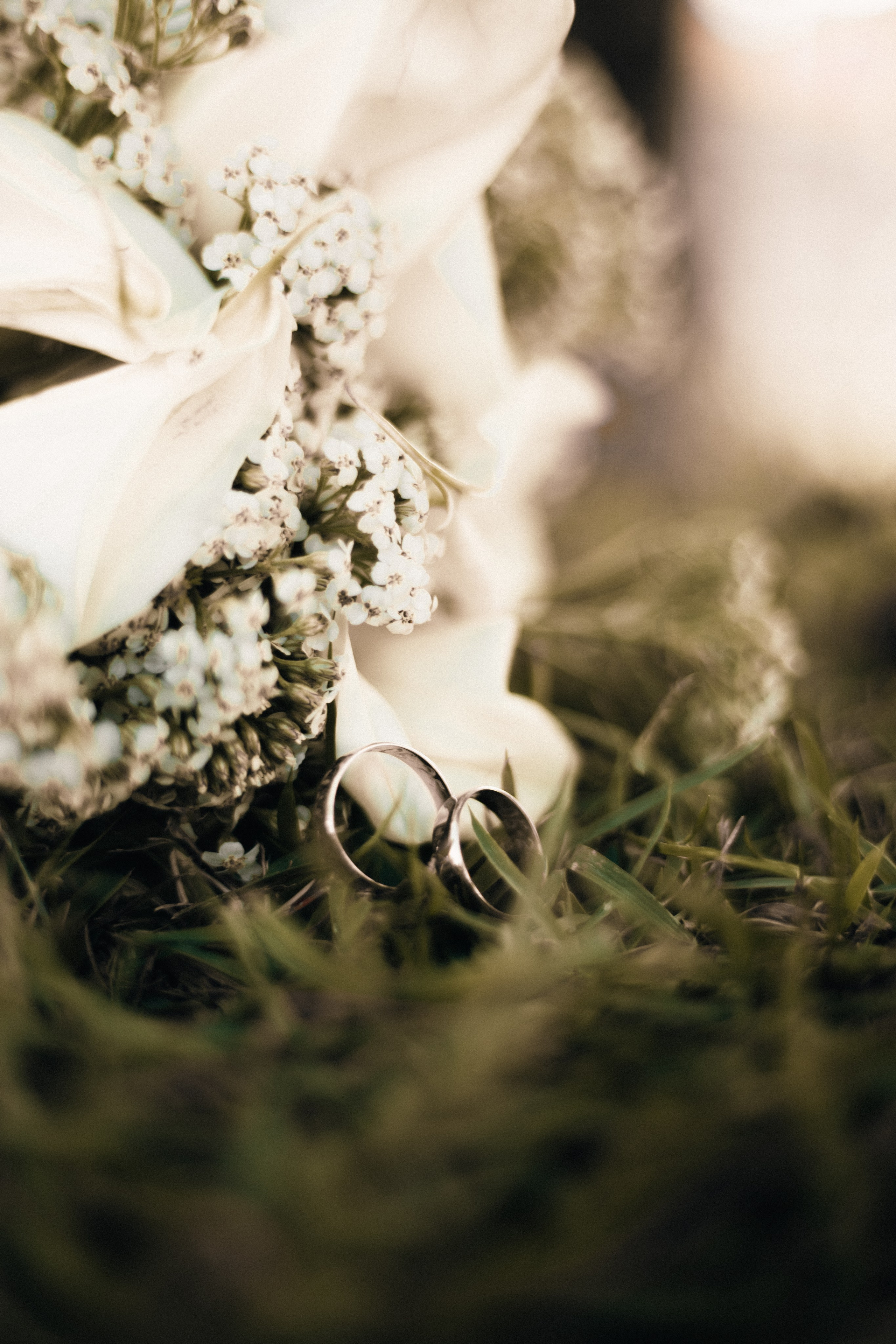 2025 | Luiza e Marllus. Denis Damasceno | Fotografia