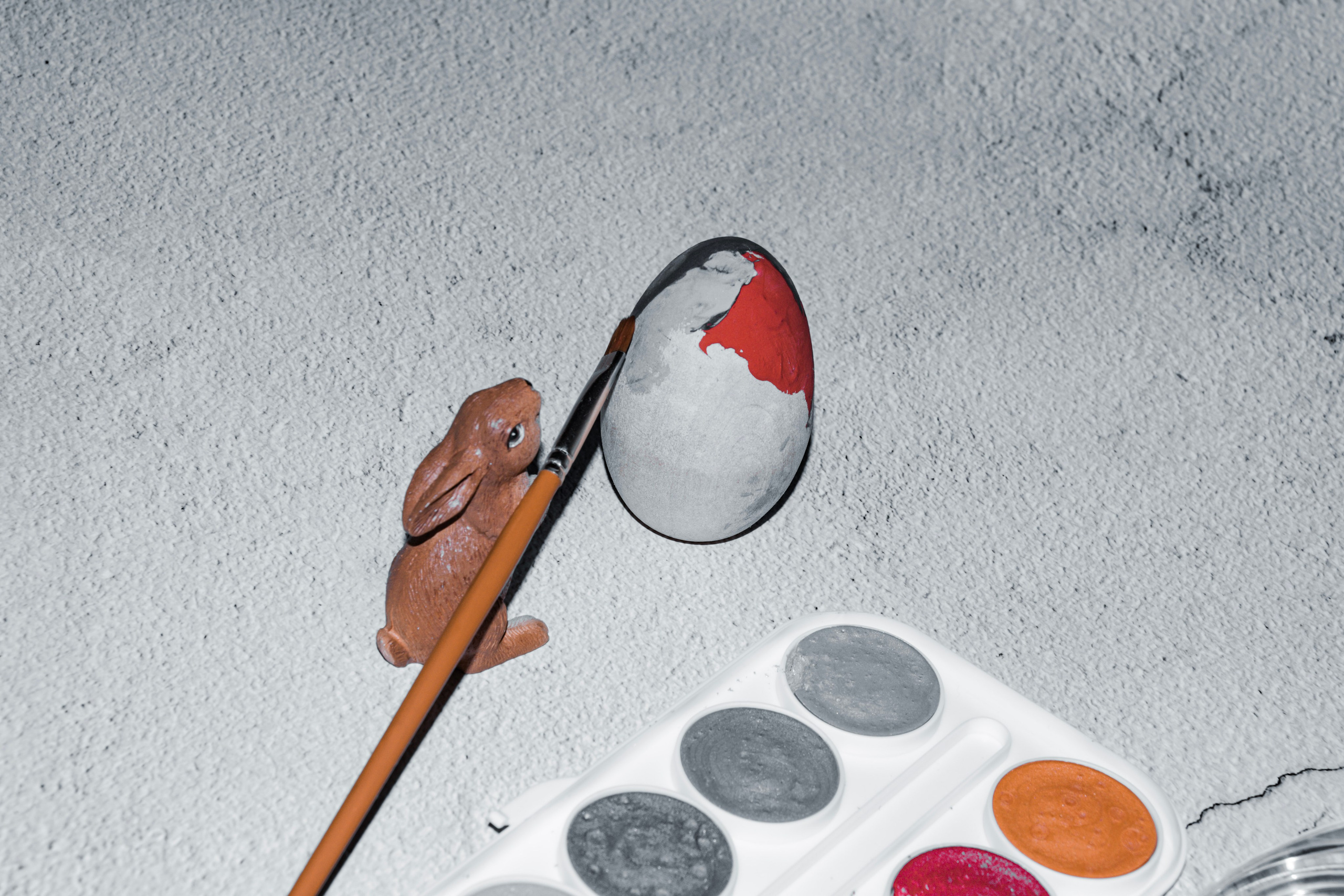 Portfolio. Photographer in Sotenäs municipality. Fotograf i Sotenäs kommun