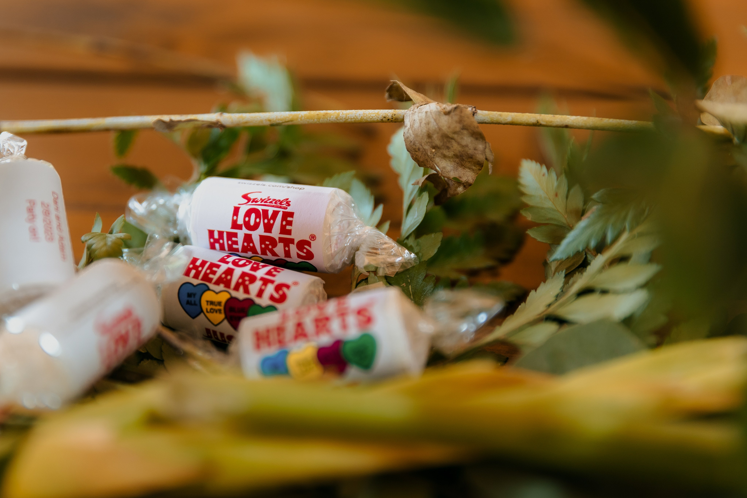 Wedding in forest. Timeless Wedding & Event Photography — based London, working across Europe