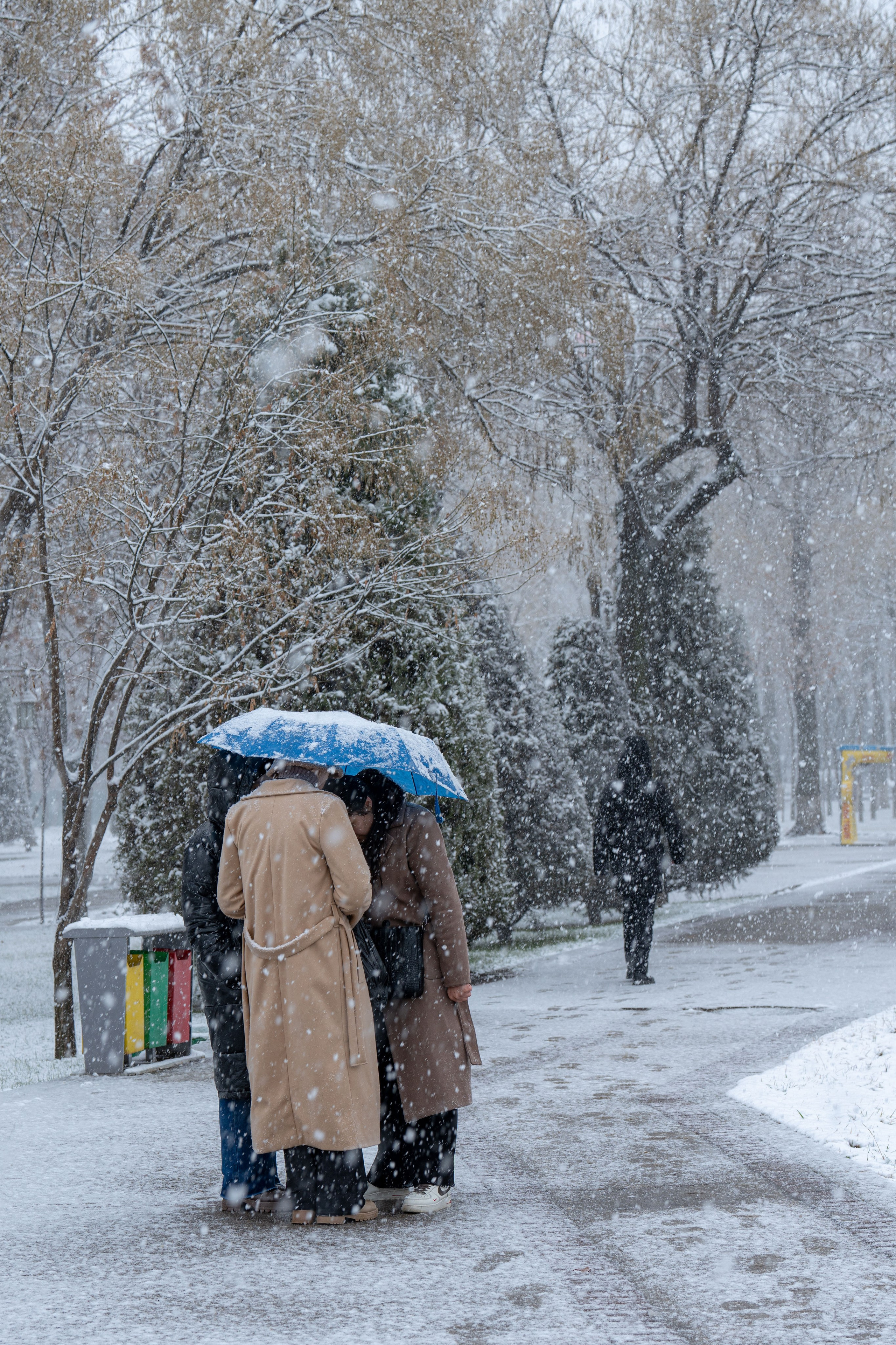 Первый снег в 2024 году. Георгий Намазов | Фотограф в Ташкенте