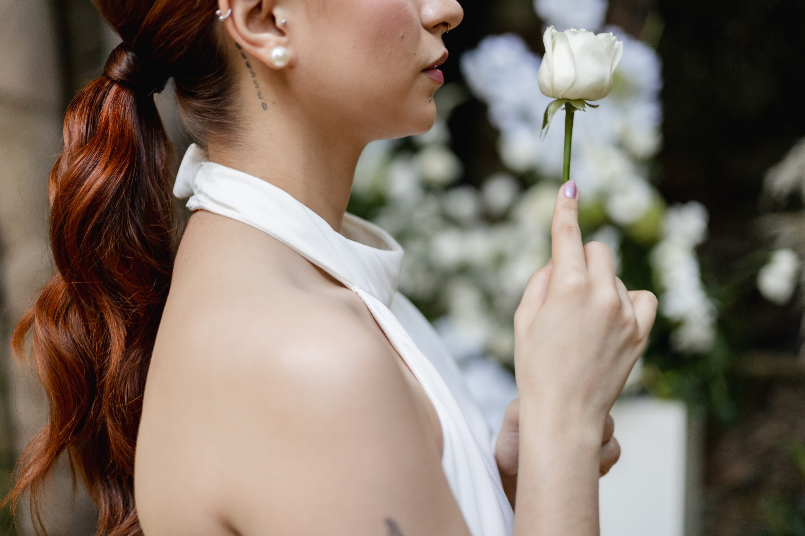 Editorial Dom Brunello