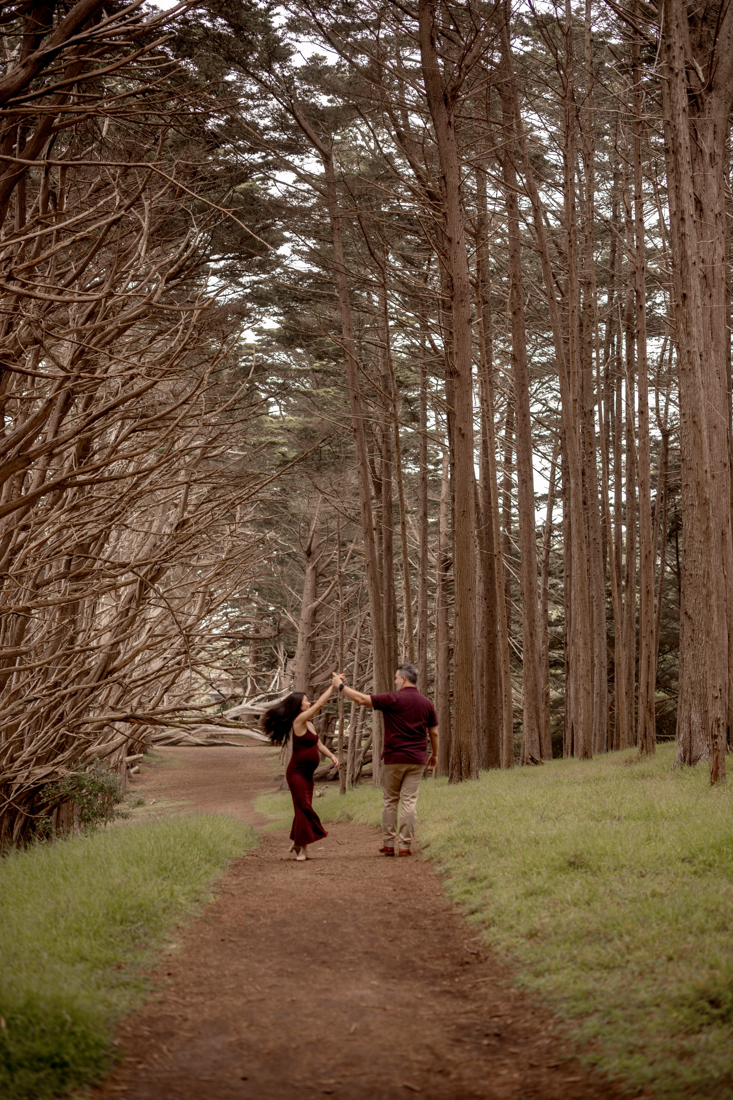 Forest. Bay Area Photographer: family, maternity, love story, wedding