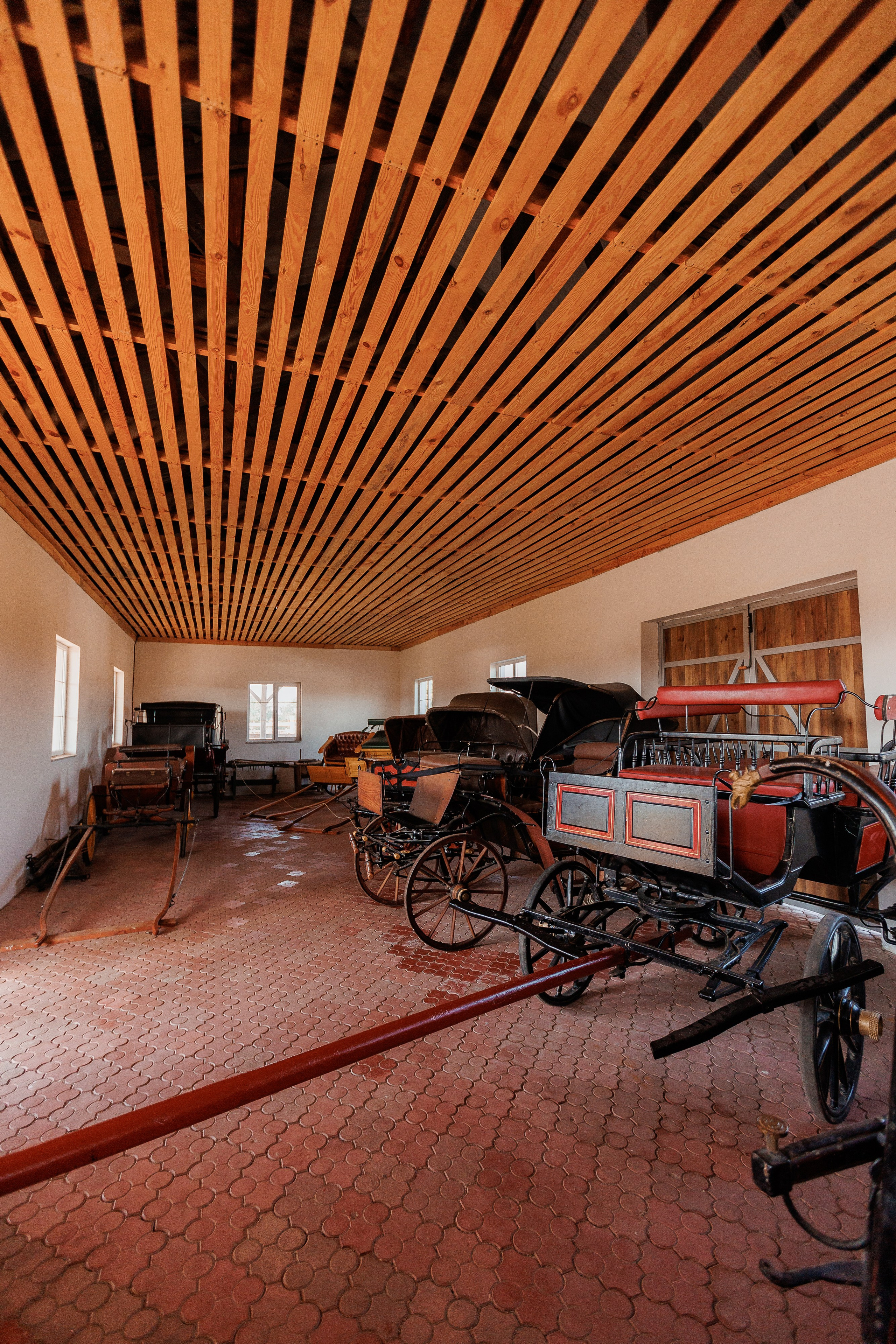 Екопарк Аміла. Ірина Терещук