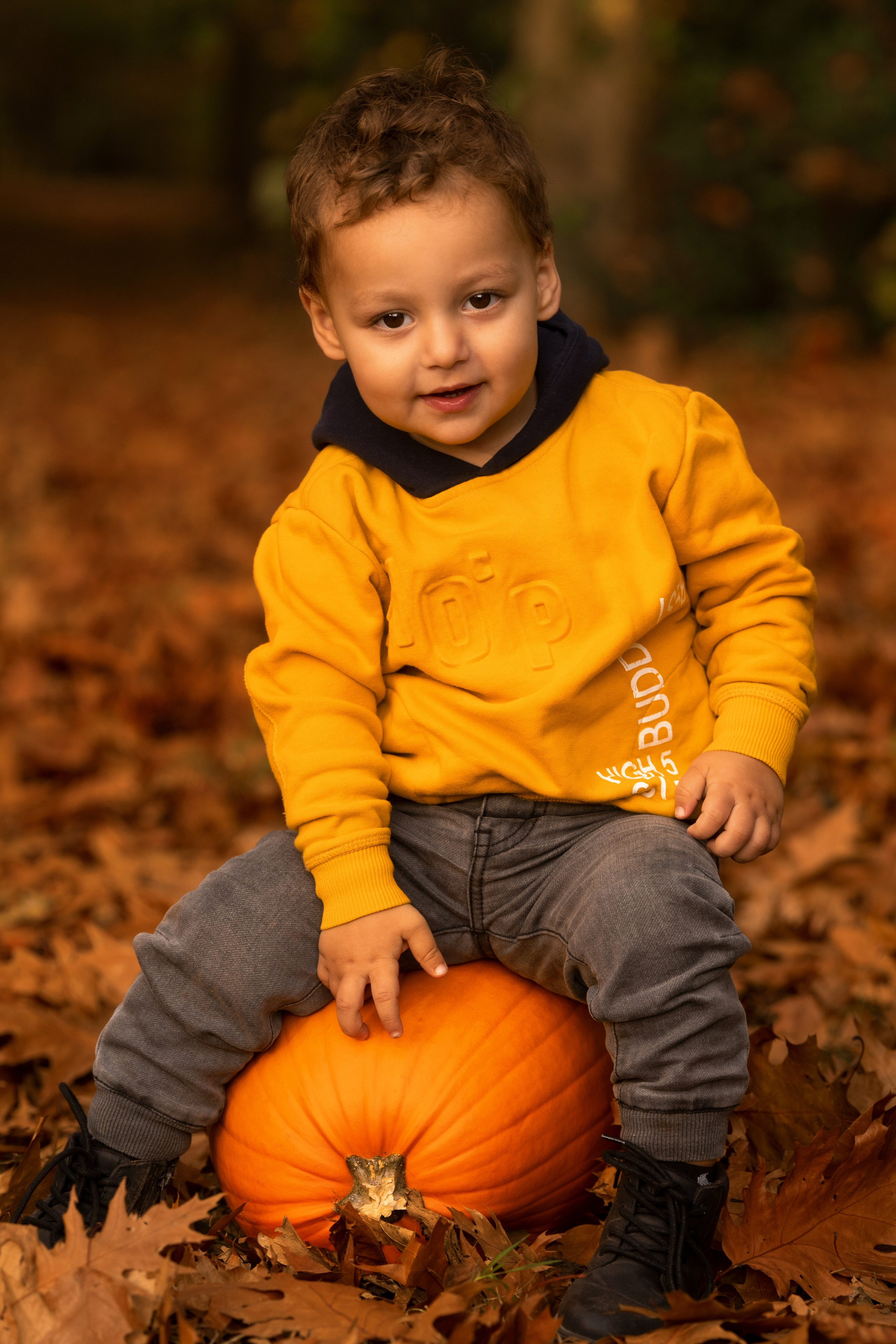 Herbstfotoshootings. Hochzeitfotografin in Lübbecke, Bielefeld, Espelkamp, NRW  Deutchland
