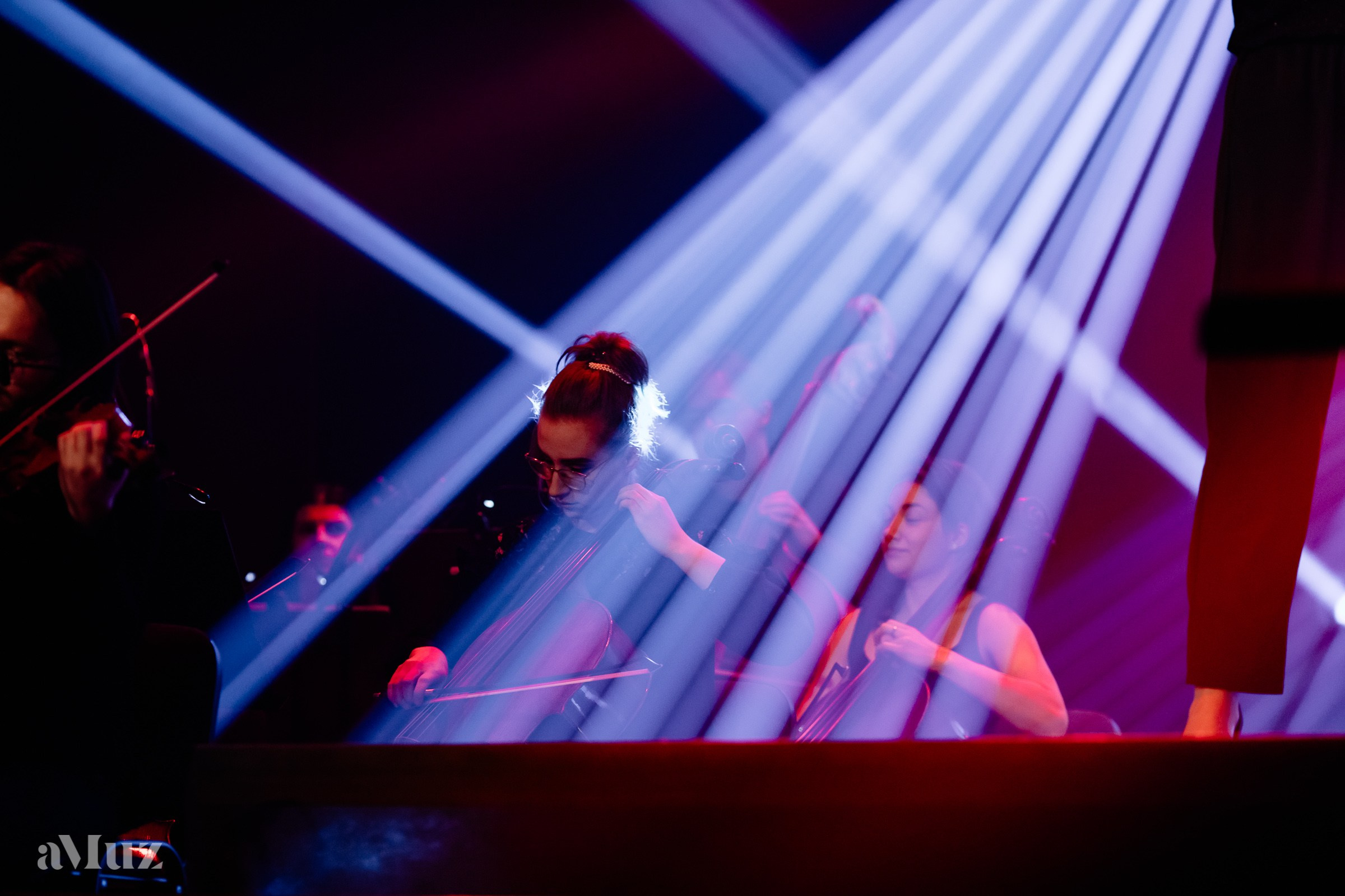 Koncert Amuz.pl. Fotograf Ślubny Warszawa - Sesje Biznesowe Rodzinne Eventy