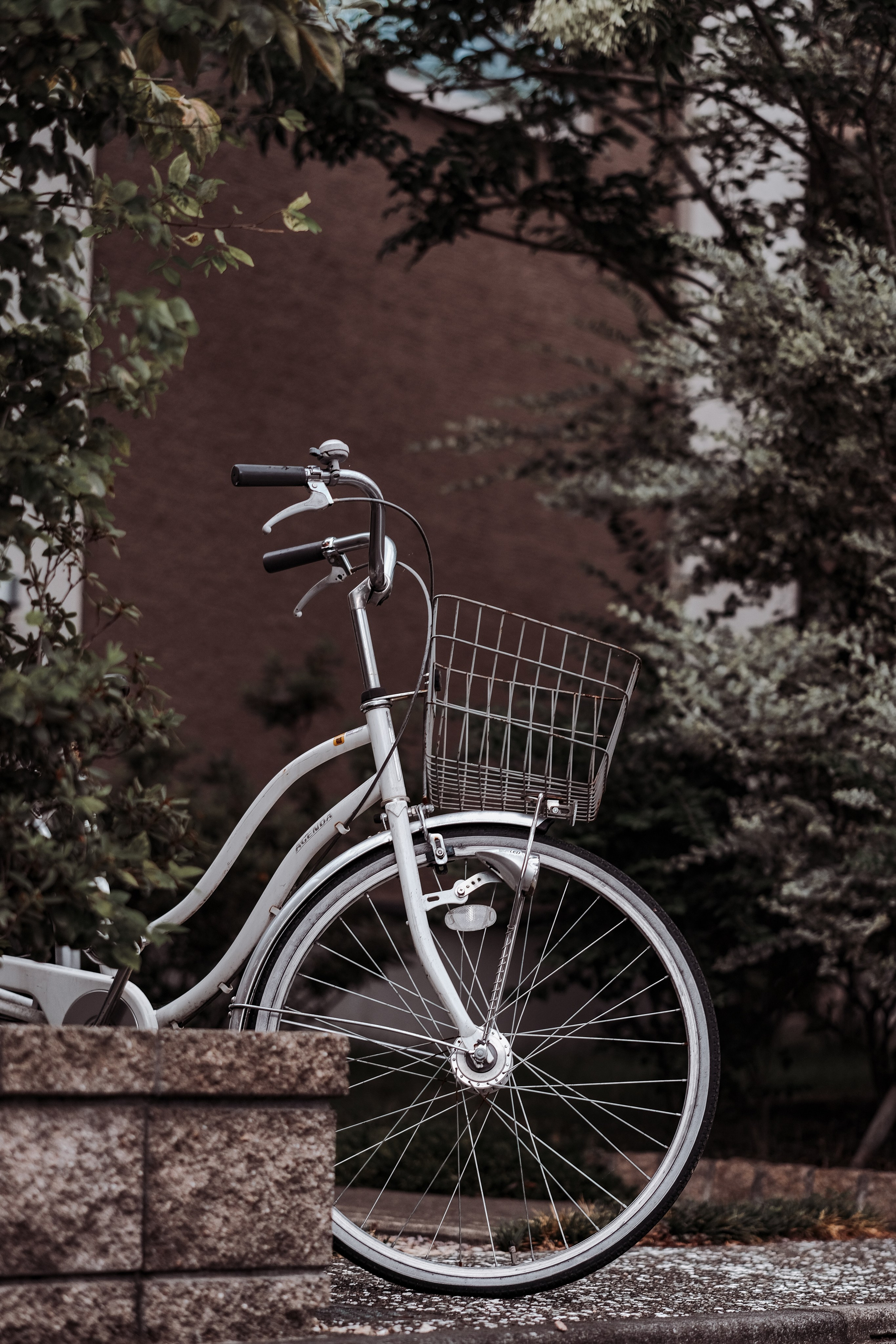 Urban corners. Senya JP