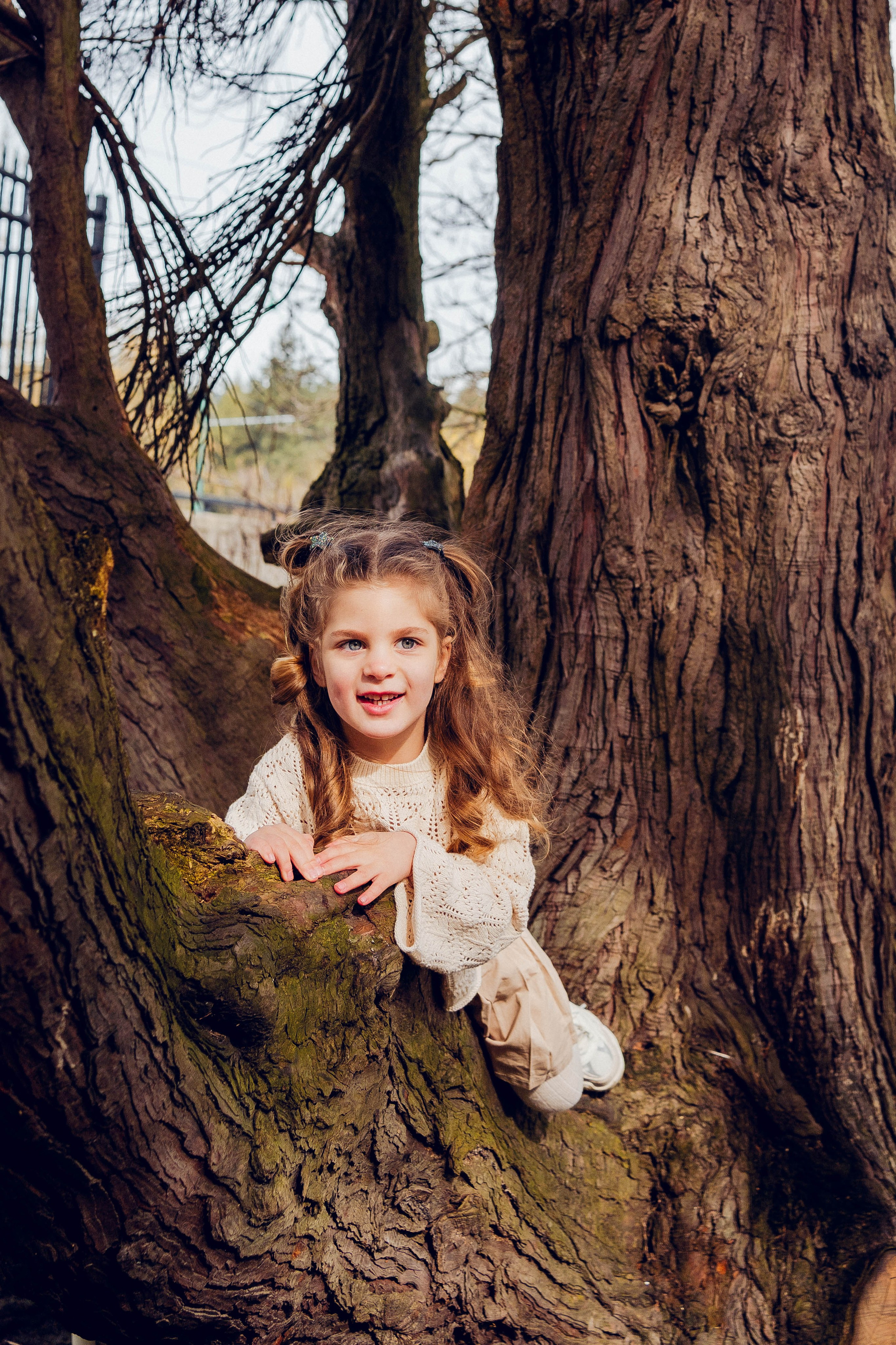 Cherry blossom. Main