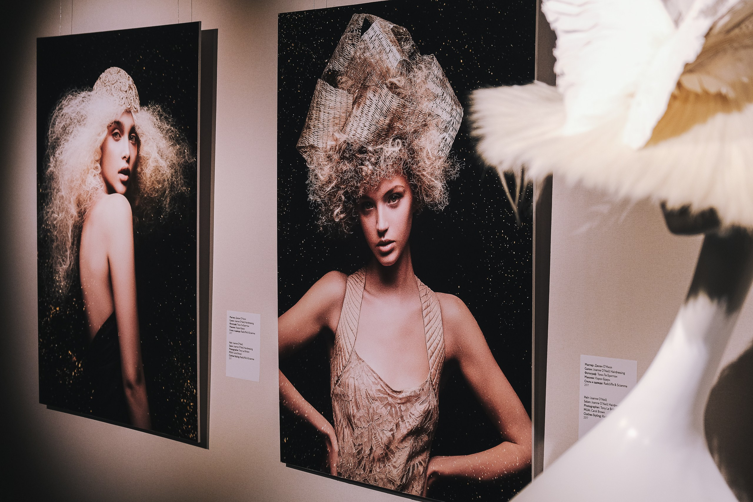 Hair Exhibition 2019